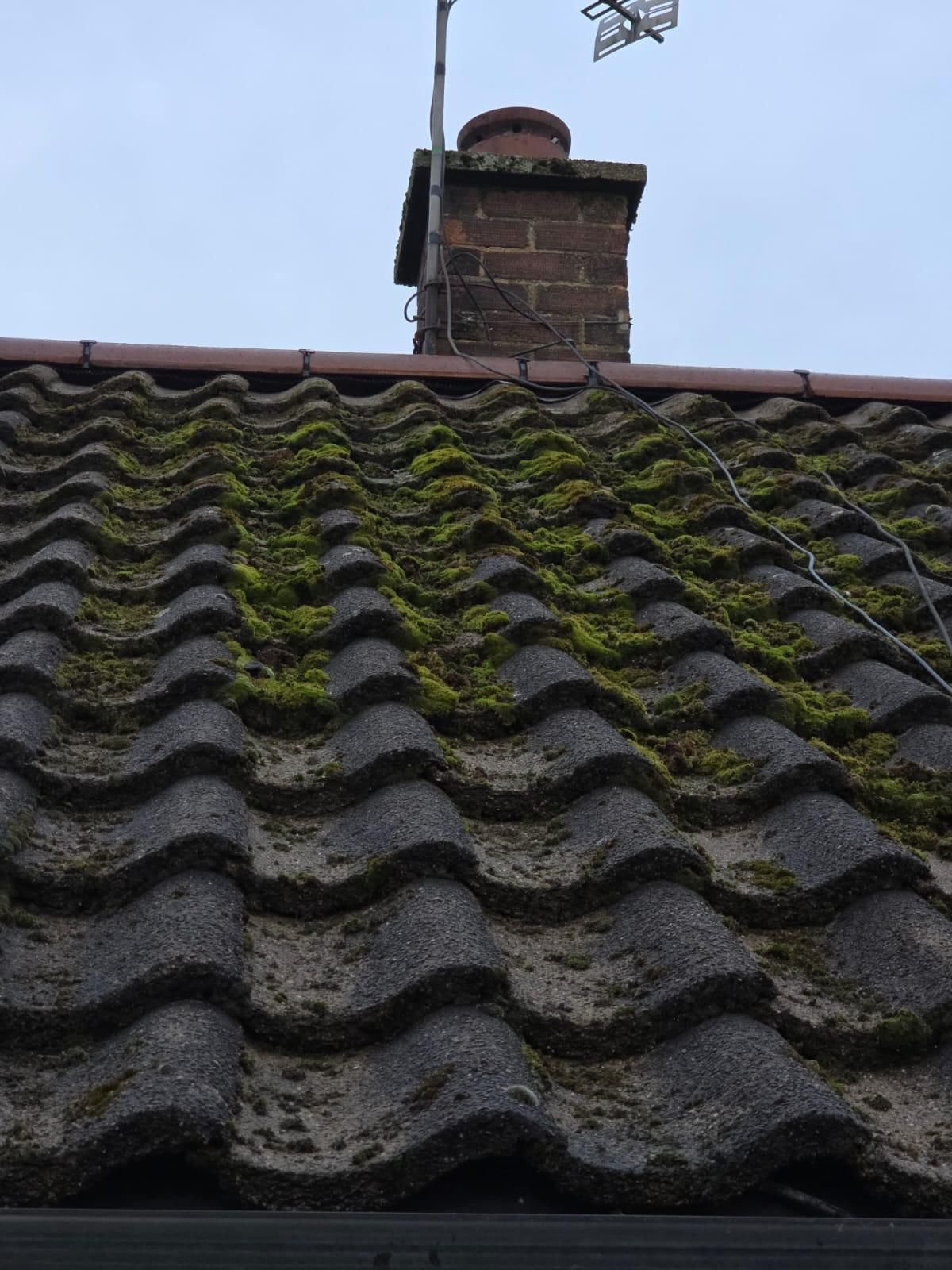 WhatsApp Image 2026-02-16 at 4.26.00 PM