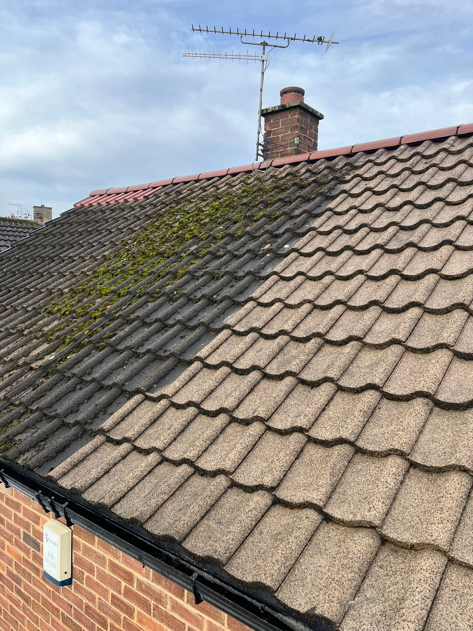 WhatsApp Image 2026-02-16 at 4.26.01 PM (1)