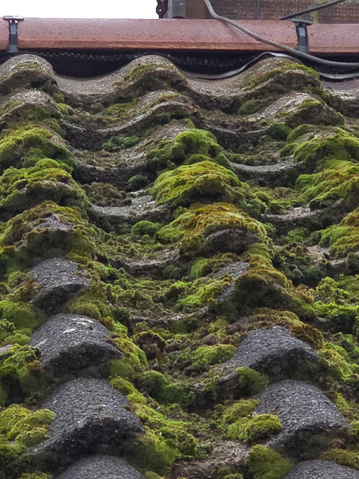 WhatsApp Image 2026-02-16 at 4.26.01 PM