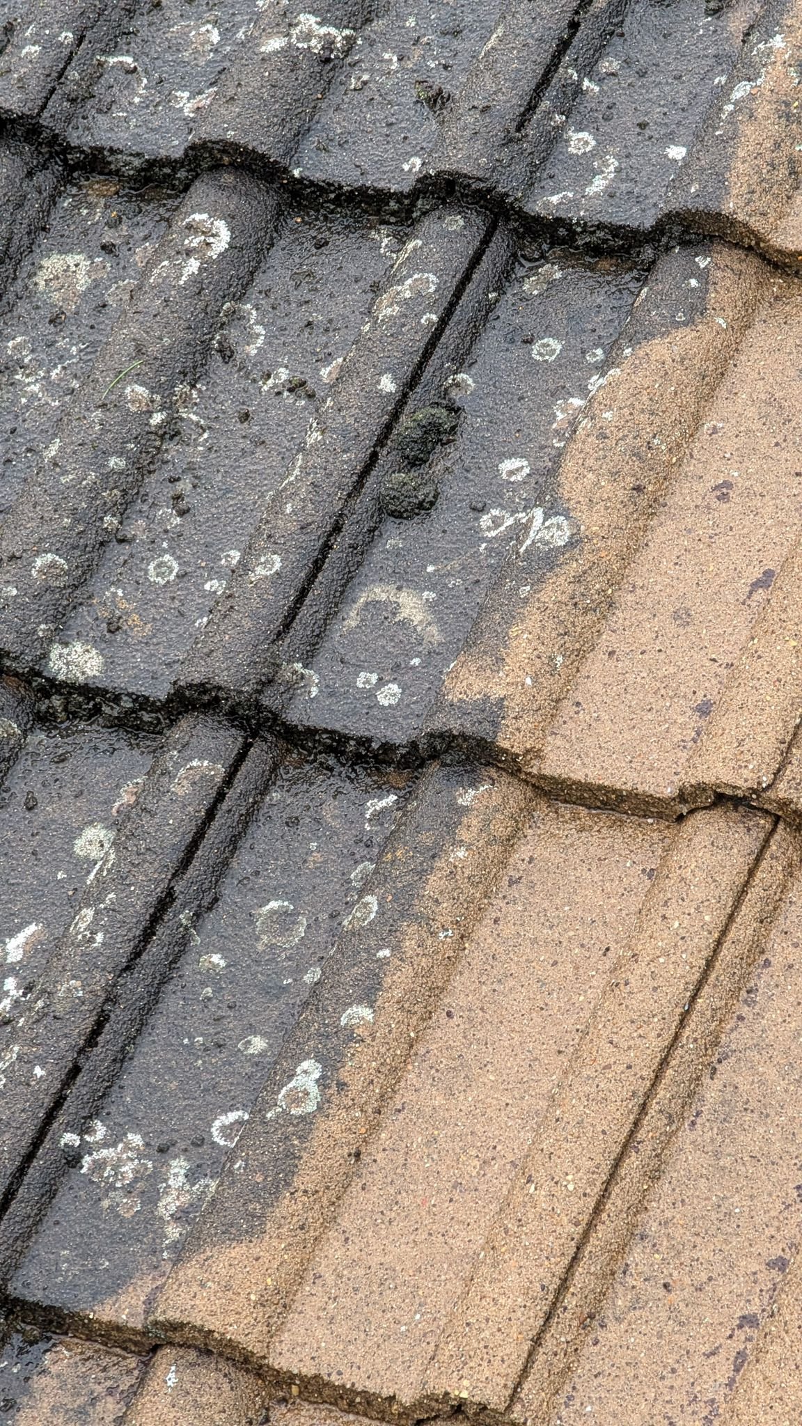 WhatsApp Image 2026-02-16 at 4.41.23 PM (1)