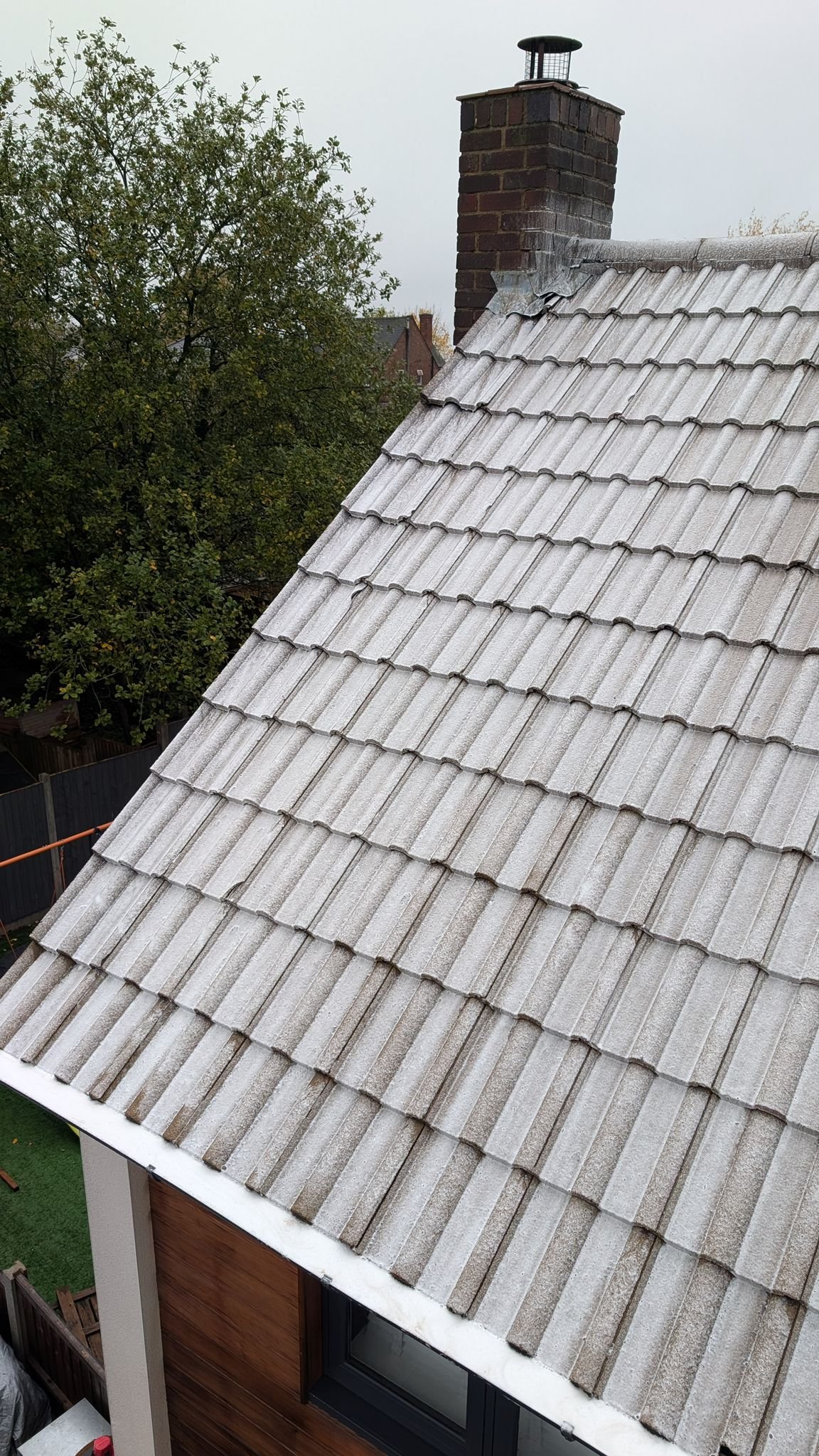 WhatsApp Image 2026-02-16 at 4.41.23 PM (3)