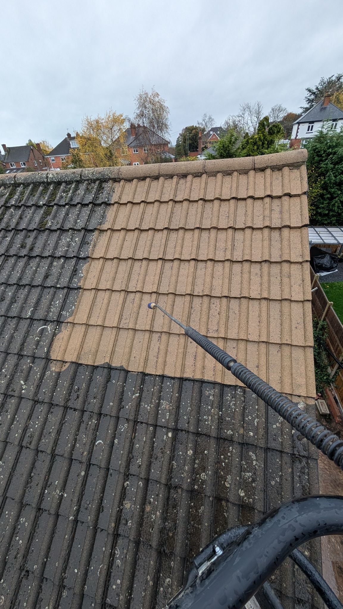 WhatsApp Image 2026-02-16 at 4.41.23 PM