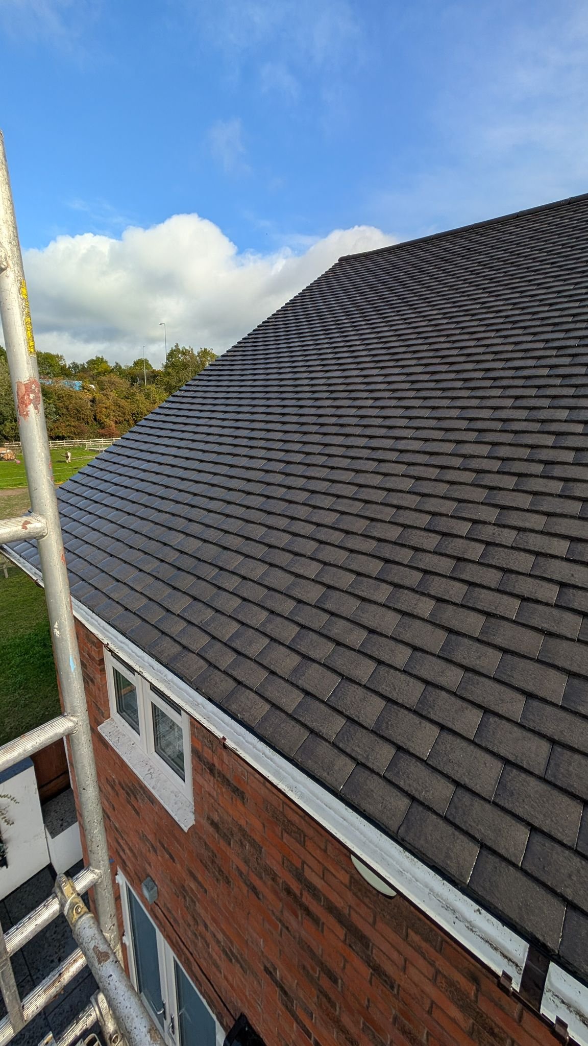 WhatsApp Image 2026-02-16 at 4.45.30 PM (2)