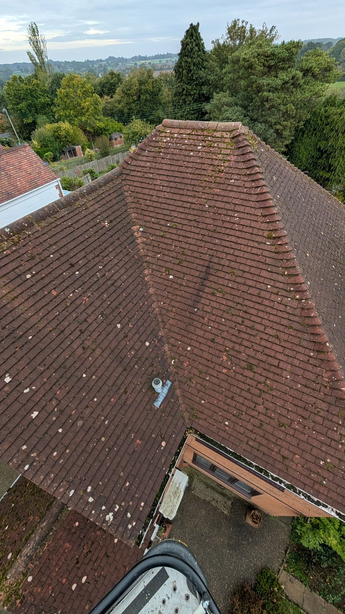 WhatsApp Image 2026-02-16 at 4.46.44 PM