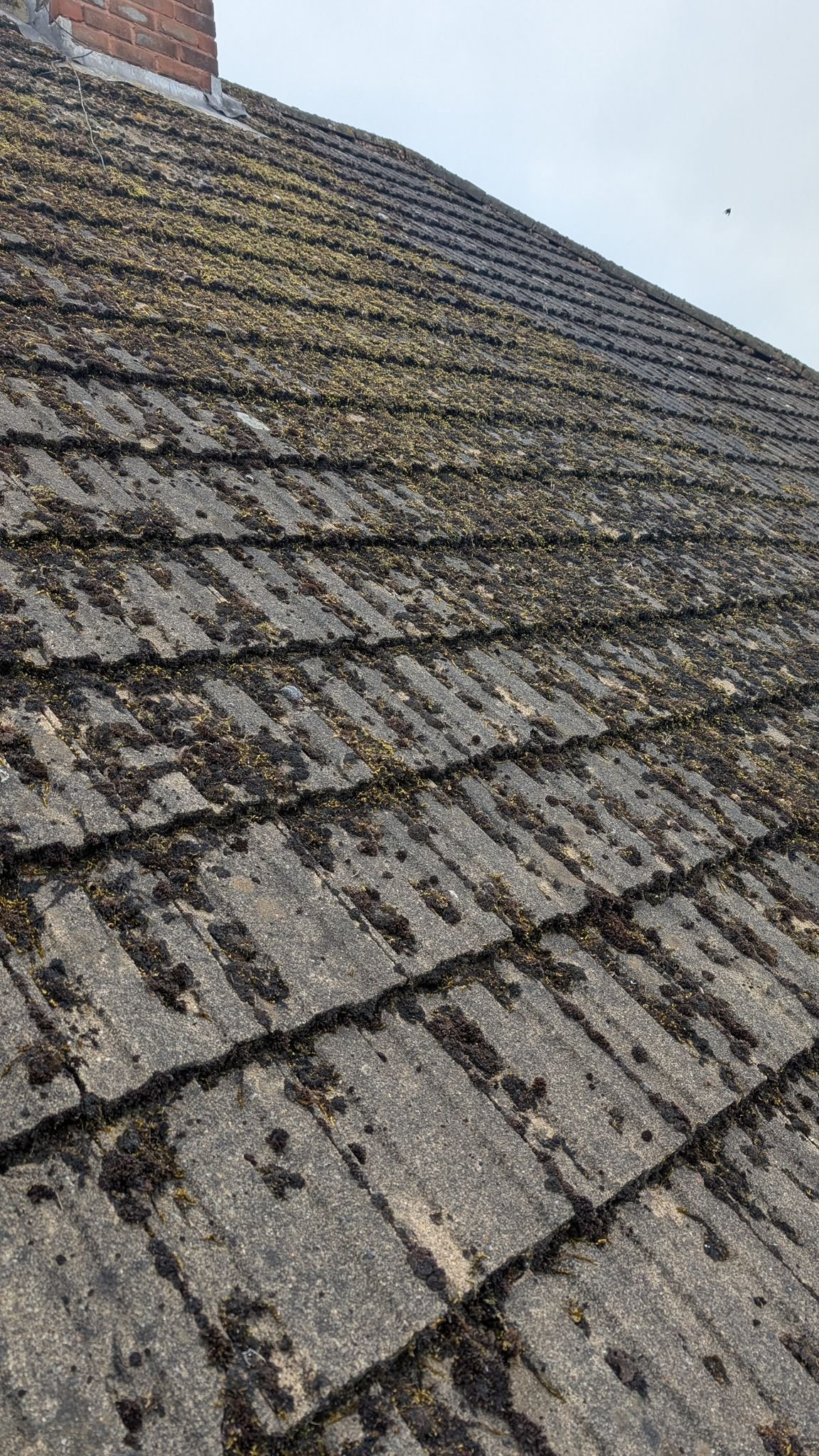 WhatsApp Image 2026-02-16 at 4.48.57 PM