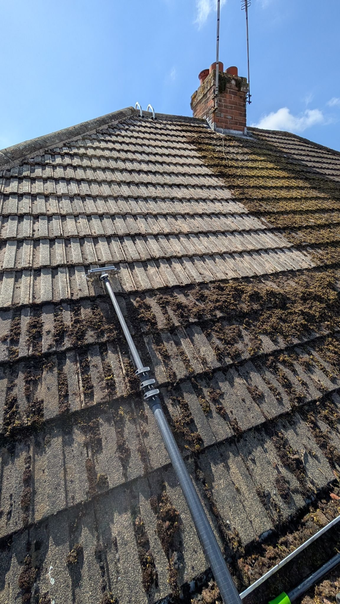 WhatsApp Image 2026-02-16 at 4.48.58 PM (1)