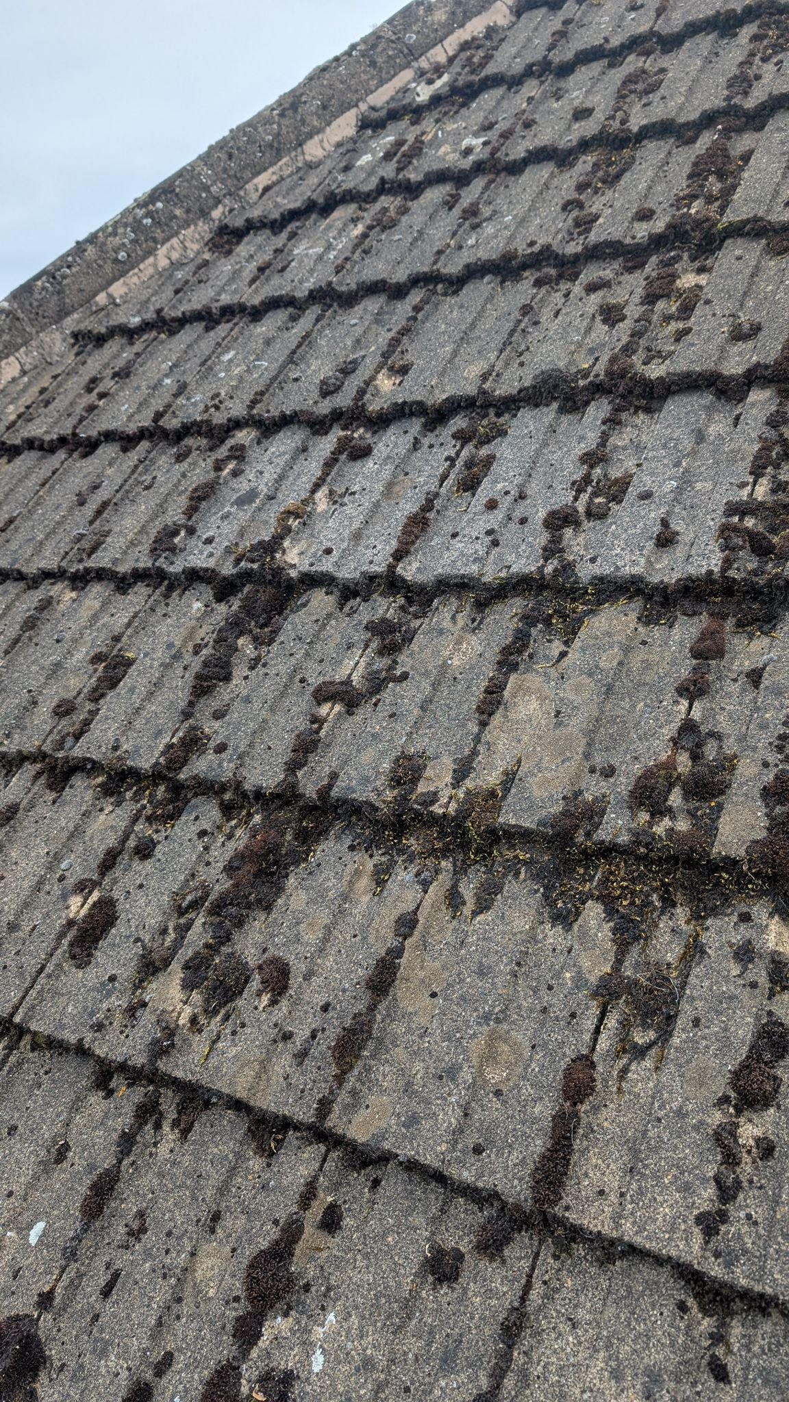 WhatsApp Image 2026-02-16 at 4.48.58 PM