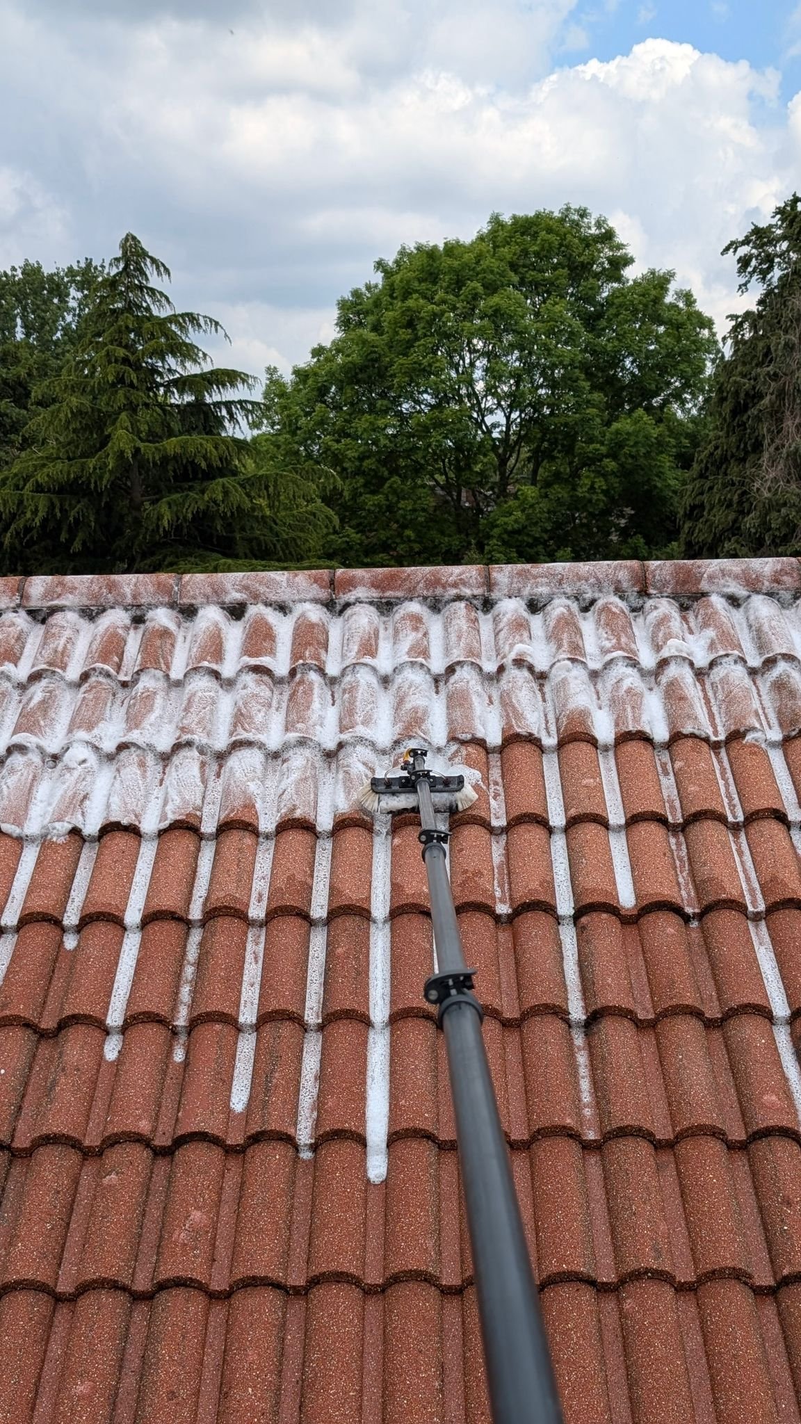 WhatsApp Image 2026-02-16 at 4.55.25 PM (1)