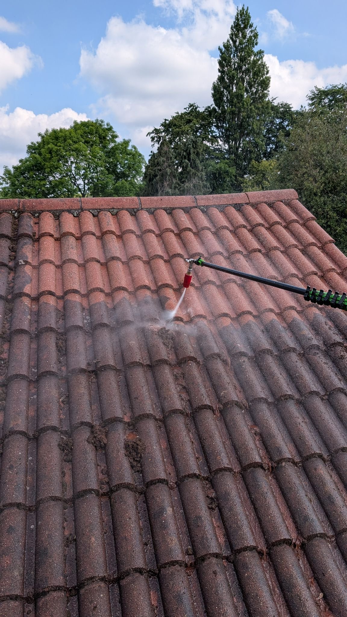 WhatsApp Image 2026-02-16 at 4.55.25 PM