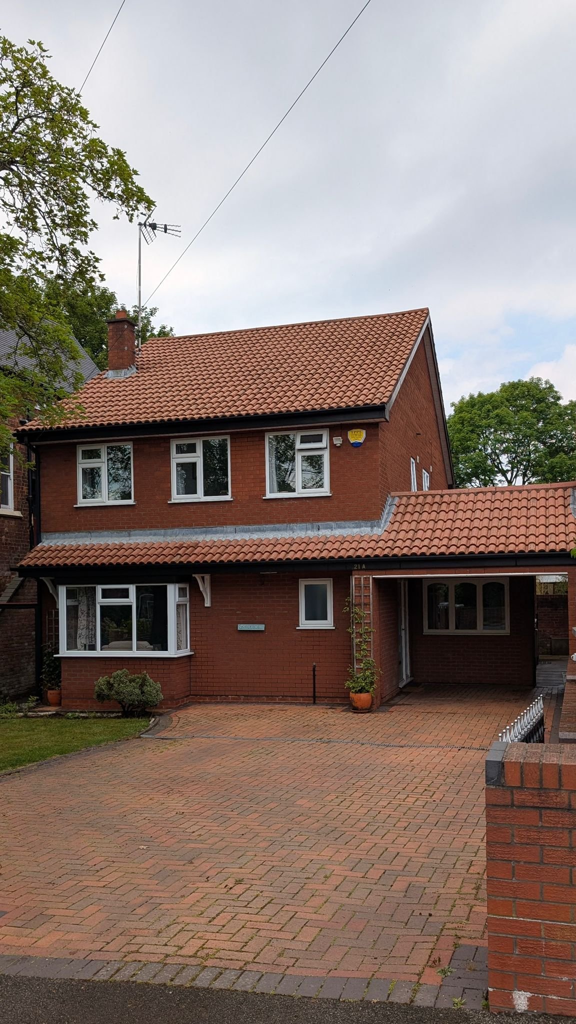 WhatsApp Image 2026-02-16 at 4.55.26 PM (1)