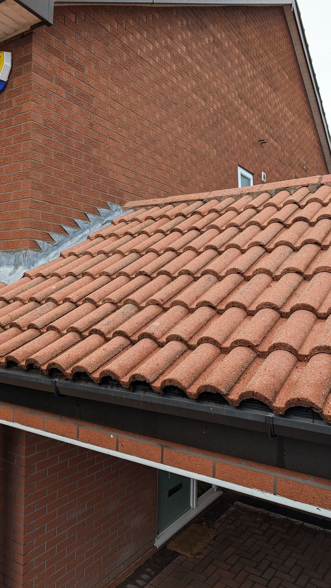 WhatsApp Image 2026-02-16 at 4.55.26 PM