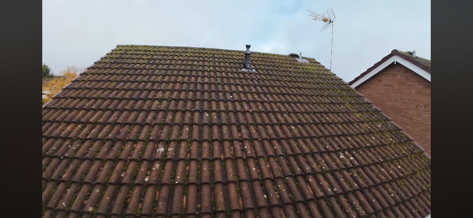 WhatsApp Image 2026-02-16 at 4.57.40 PM (1)