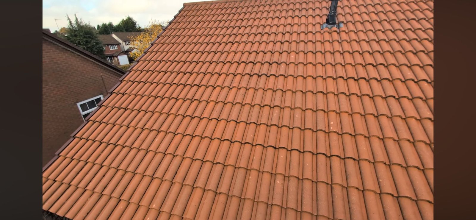 WhatsApp Image 2026-02-16 at 4.57.40 PM (2)