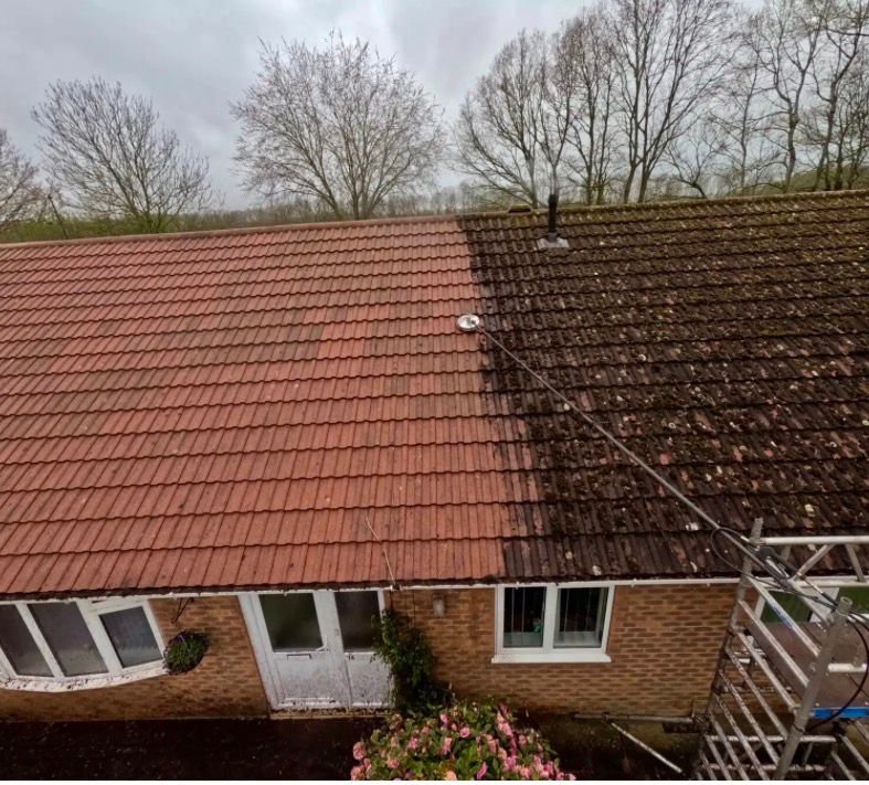 WhatsApp Image 2026-02-16 at 4.57.40 PM (3)