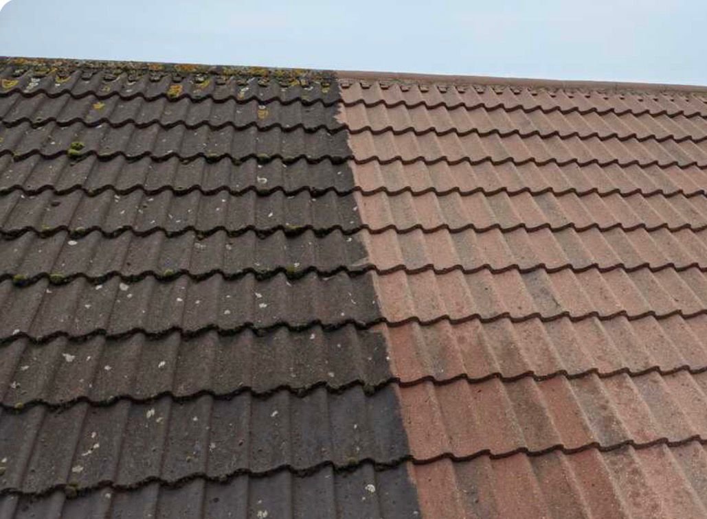 WhatsApp Image 2026-02-16 at 4.57.40 PM (4)