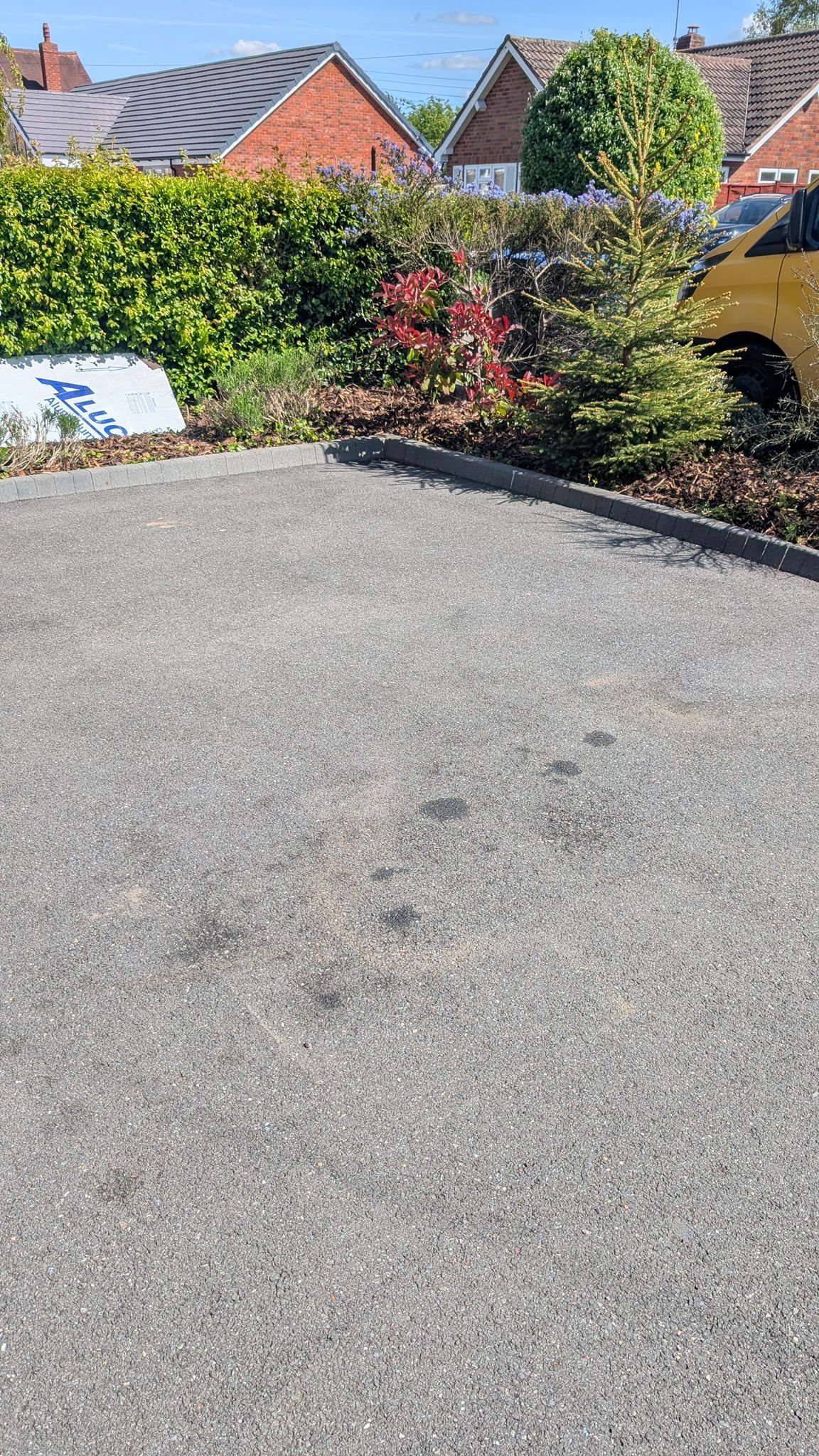 WhatsApp Image 2026-02-17 at 1.24.40 PM (3)