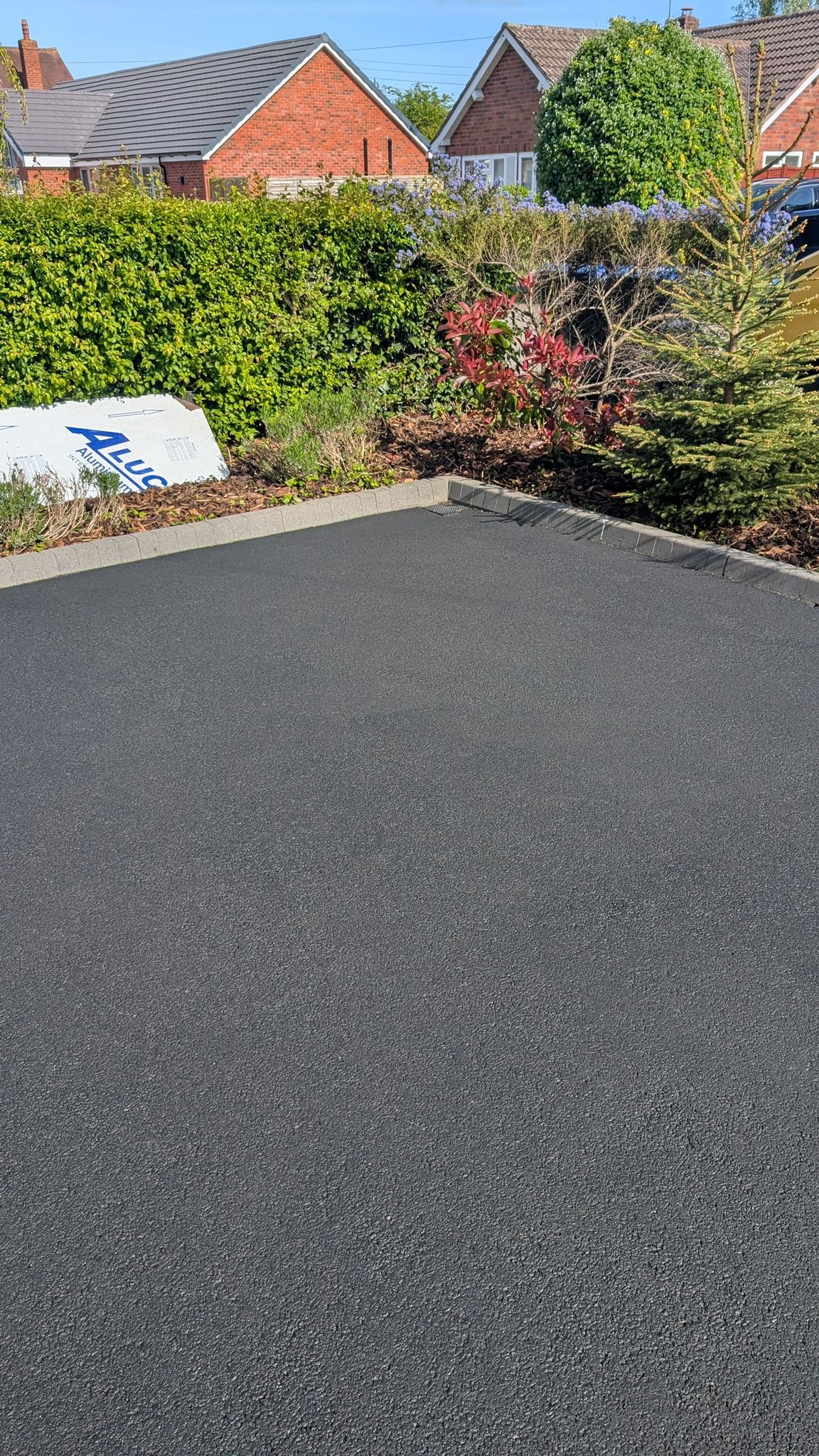 WhatsApp Image 2026-02-17 at 1.24.40 PM (4)