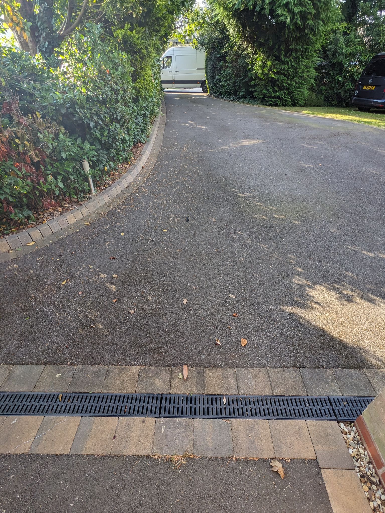 WhatsApp Image 2026-02-17 at 1.27.50 PM (2)