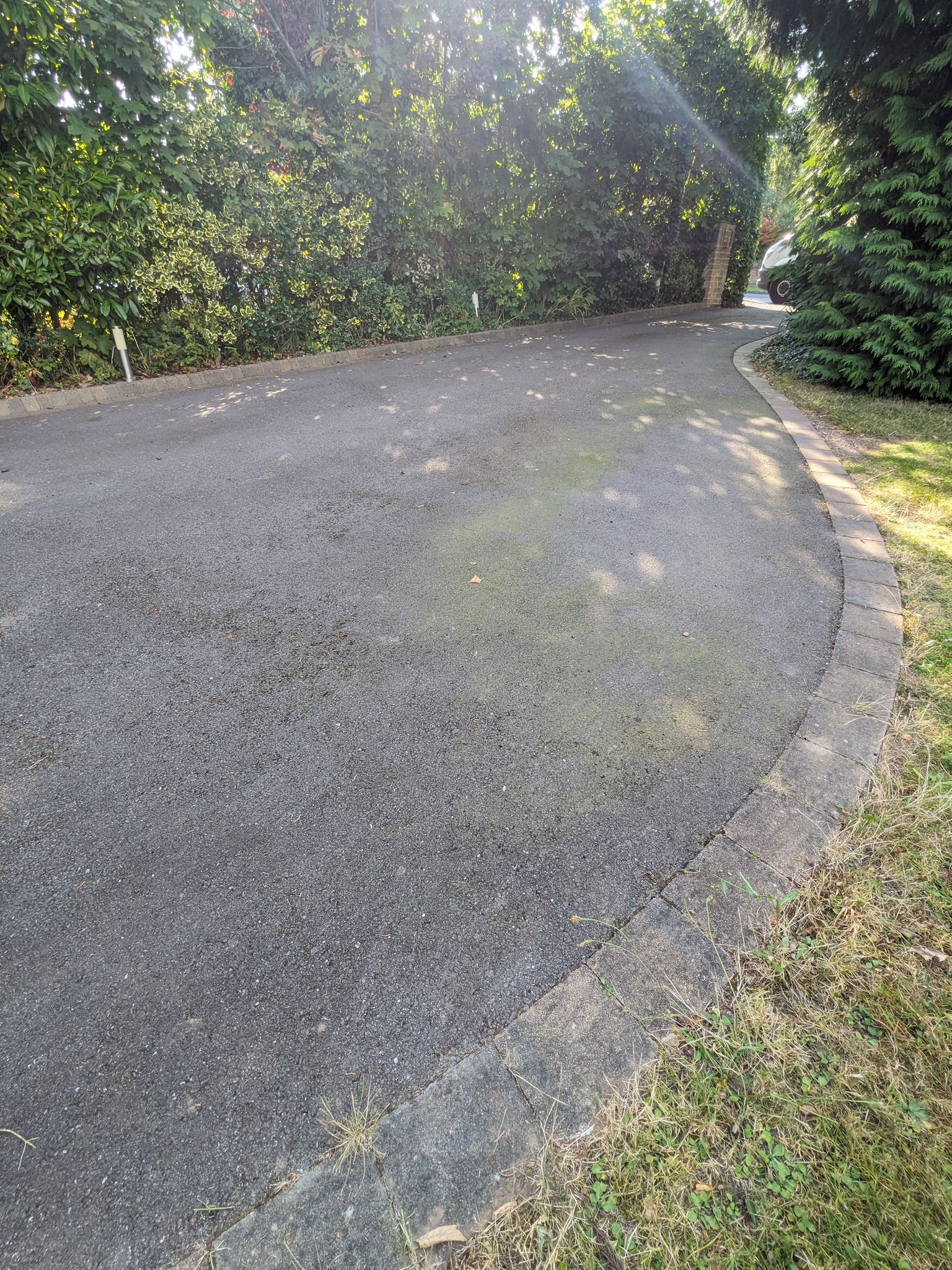 WhatsApp Image 2026-02-17 at 1.27.50 PM