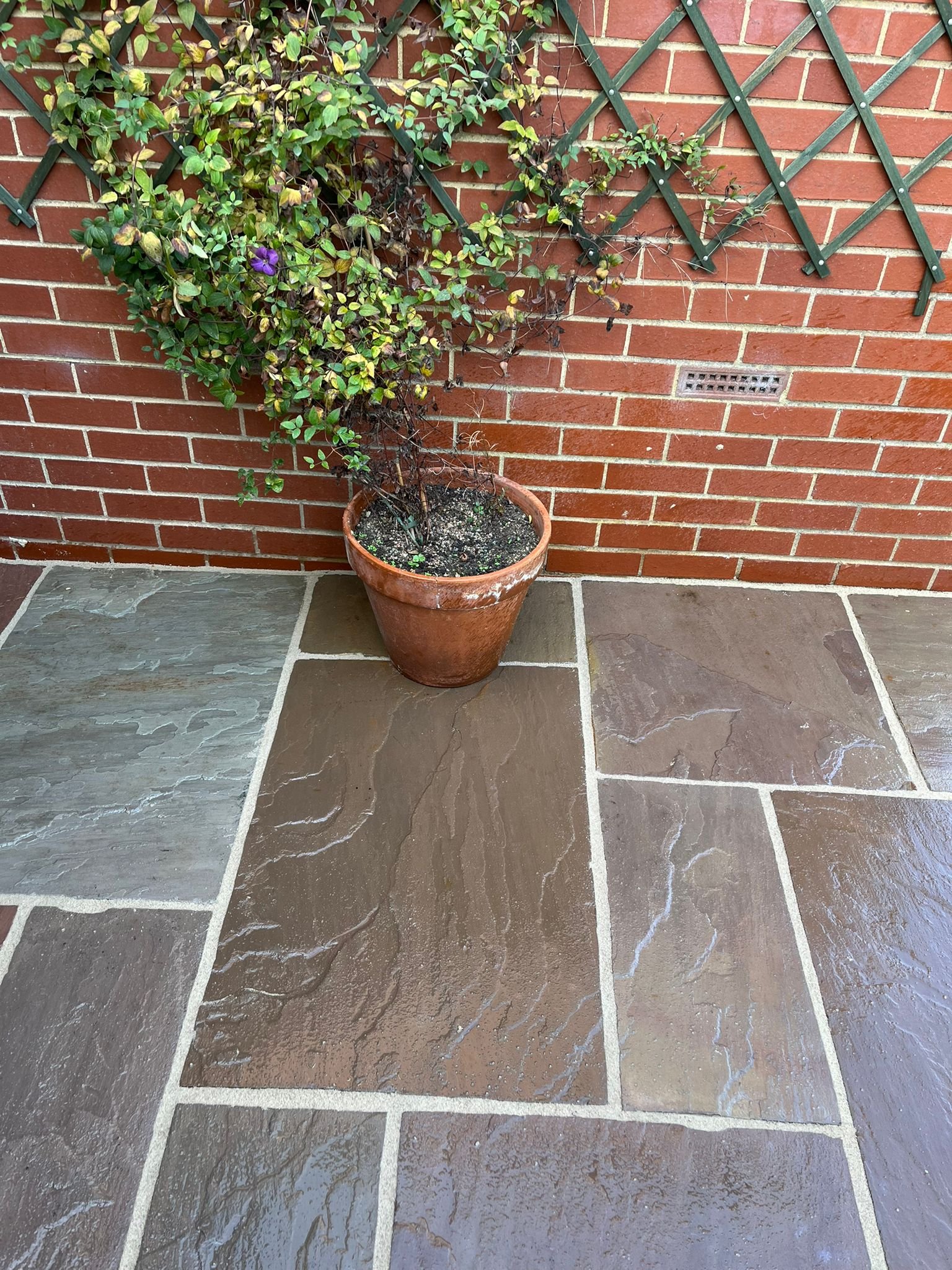 WhatsApp Image 2026-02-17 at 10.34.58 AM (1)