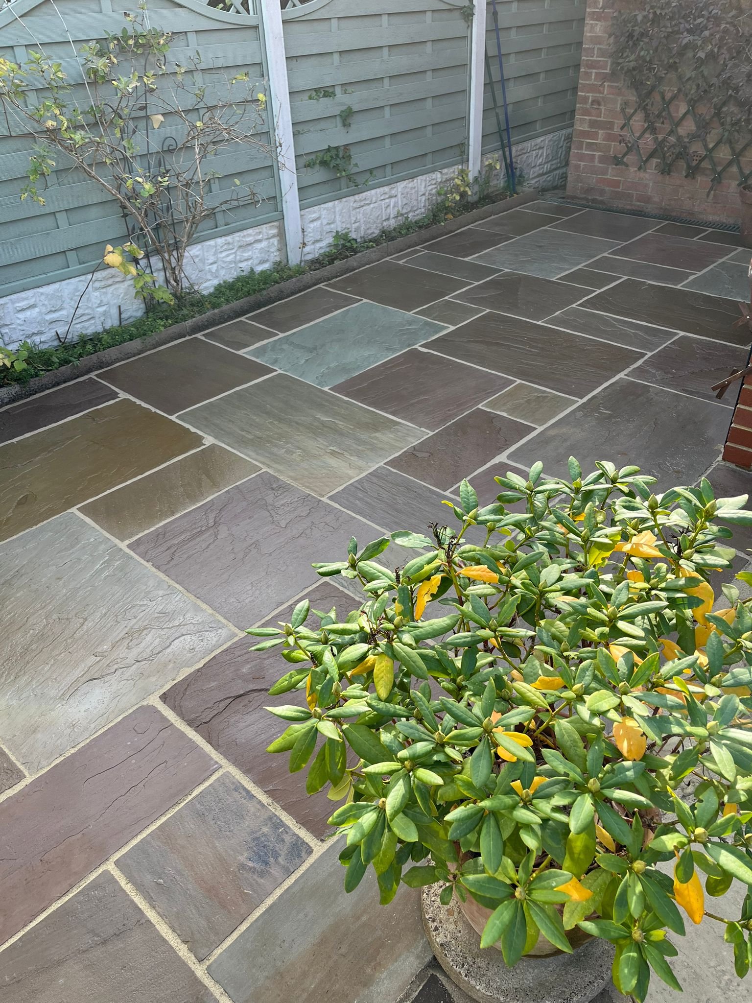 WhatsApp Image 2026-02-17 at 10.34.58 AM (2)