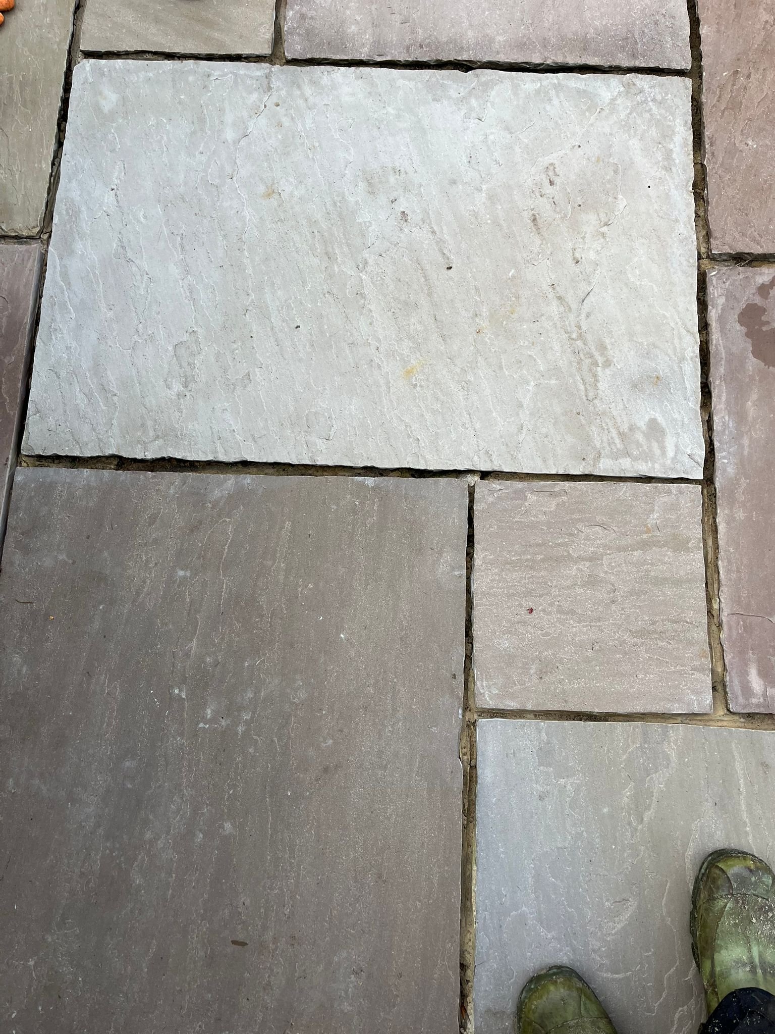 WhatsApp Image 2026-02-17 at 10.34.58 AM