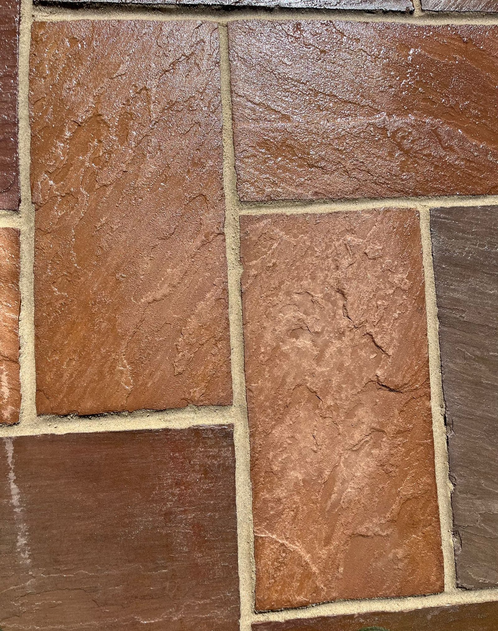 WhatsApp Image 2026-02-17 at 10.34.59 AM (1)