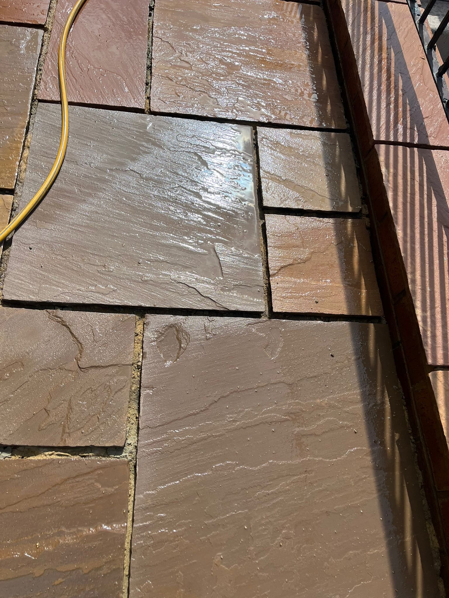 WhatsApp Image 2026-02-17 at 10.34.59 AM