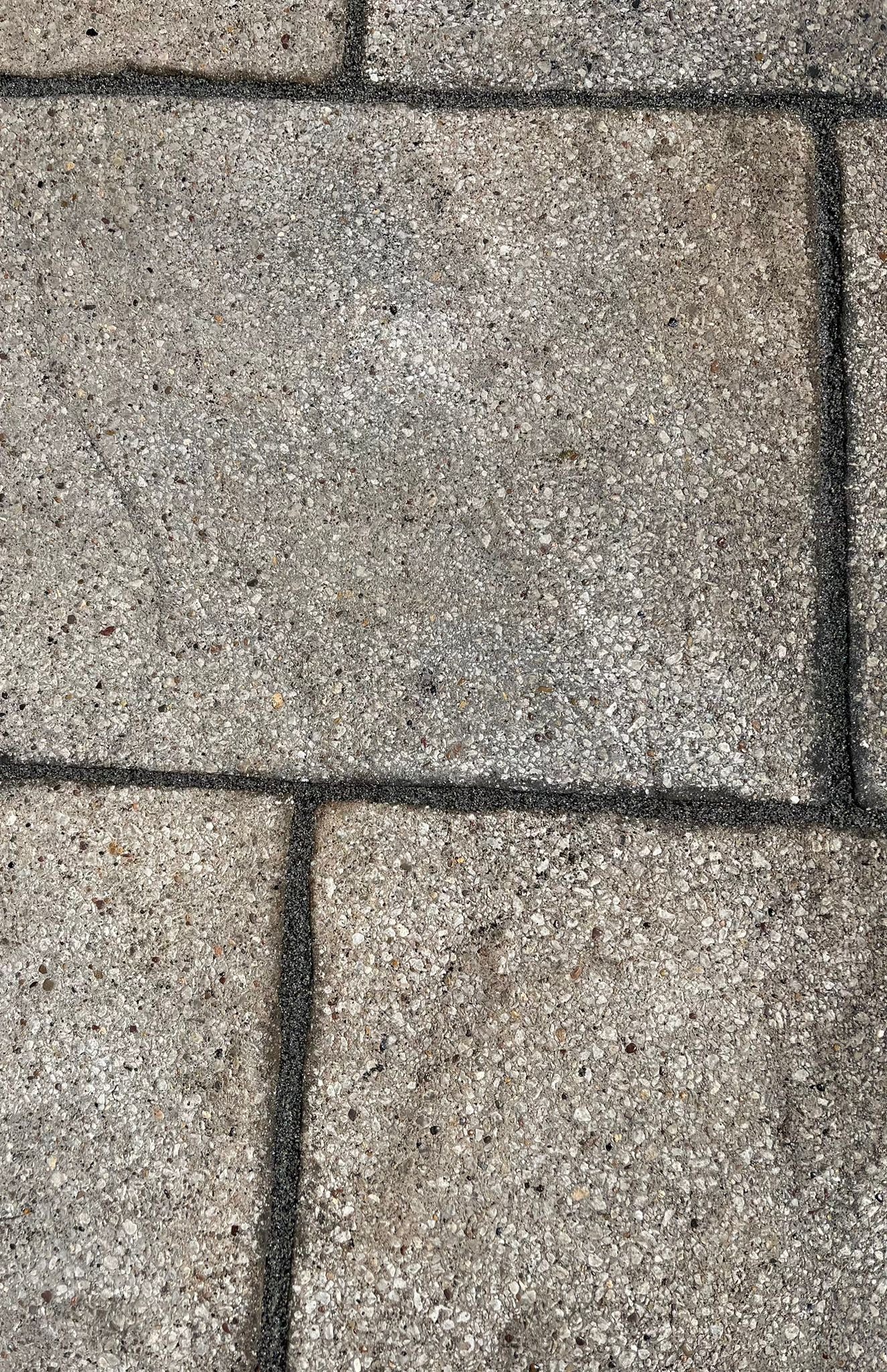 WhatsApp Image 2026-02-17 at 10.35.00 AM (4)