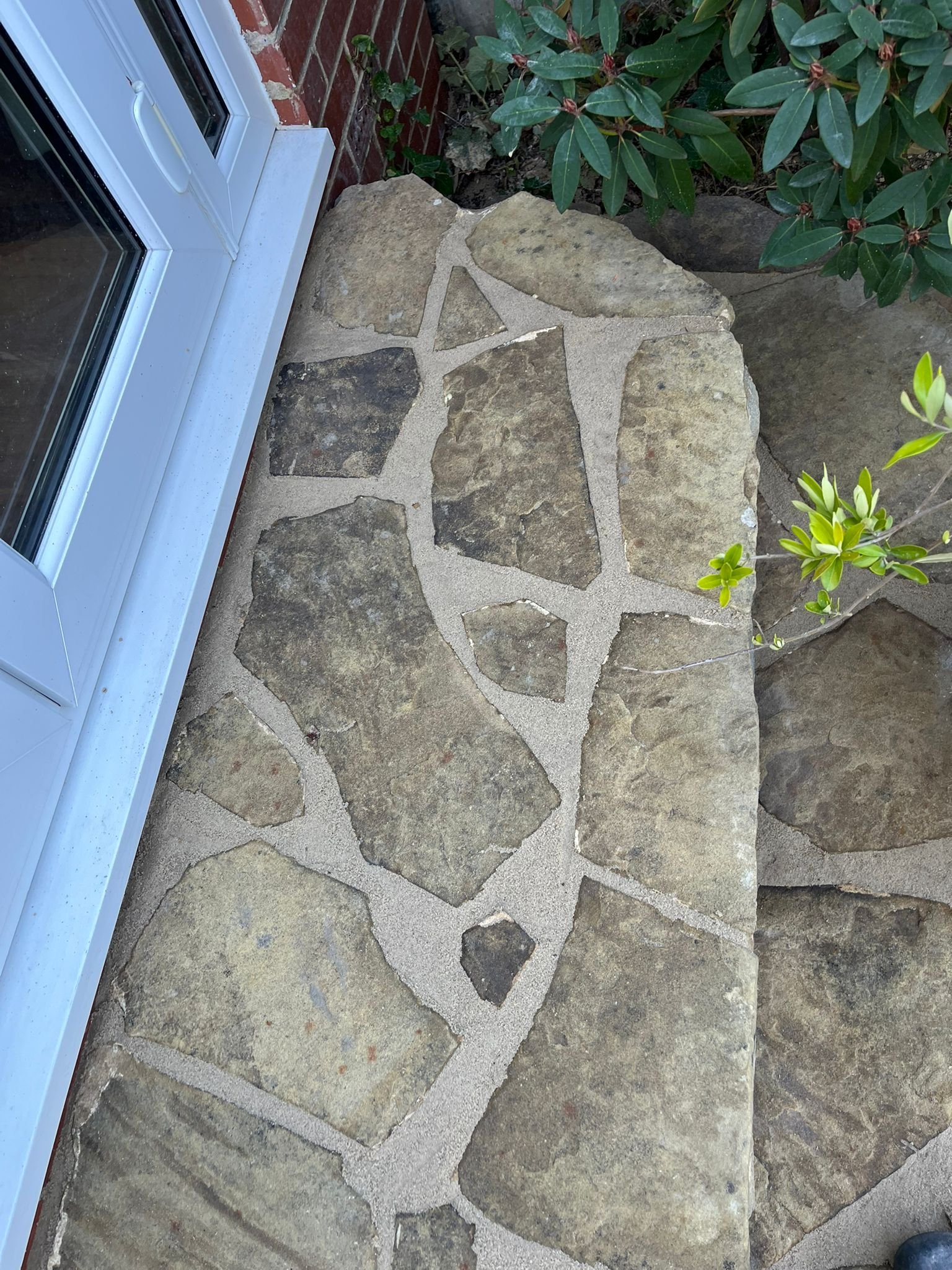 WhatsApp Image 2026-02-17 at 10.35.00 AM (7)