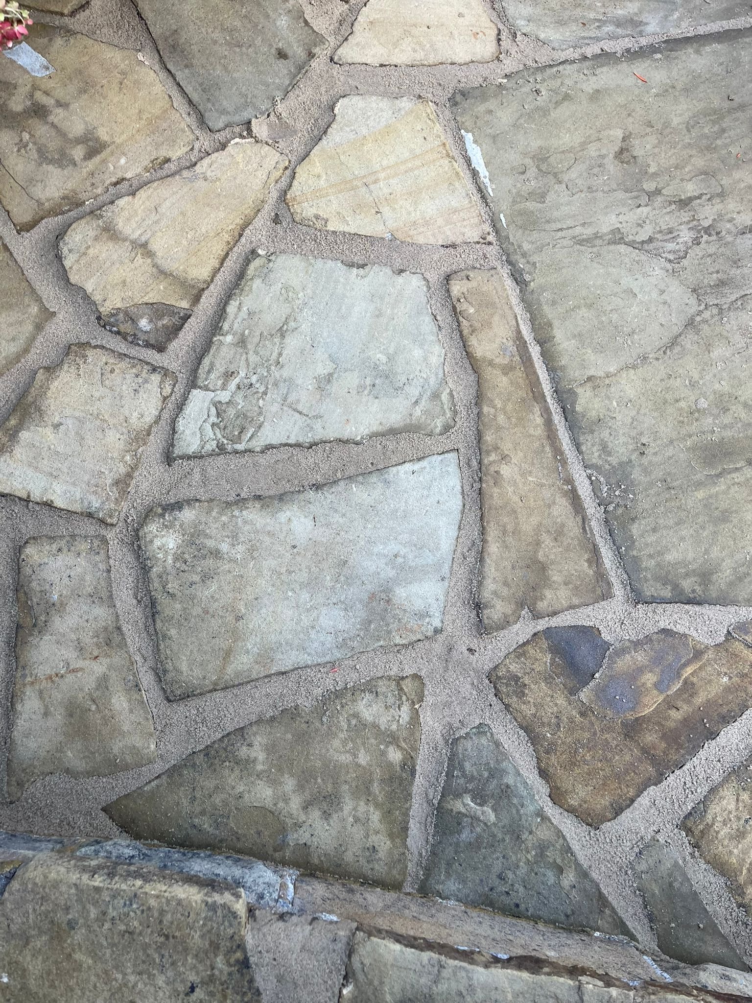 WhatsApp Image 2026-02-17 at 10.35.01 AM