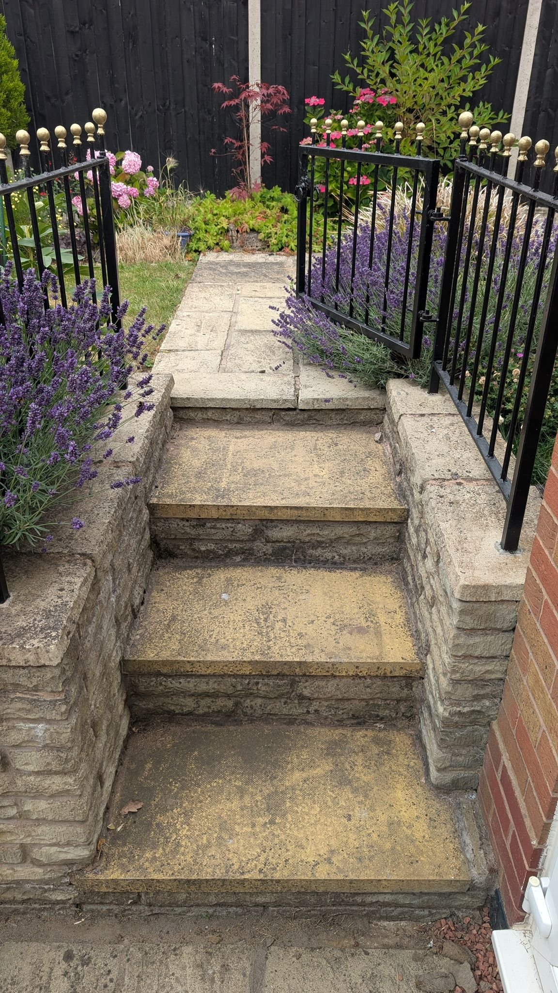 WhatsApp Image 2026-02-17 at 10.40.37 AM (4)