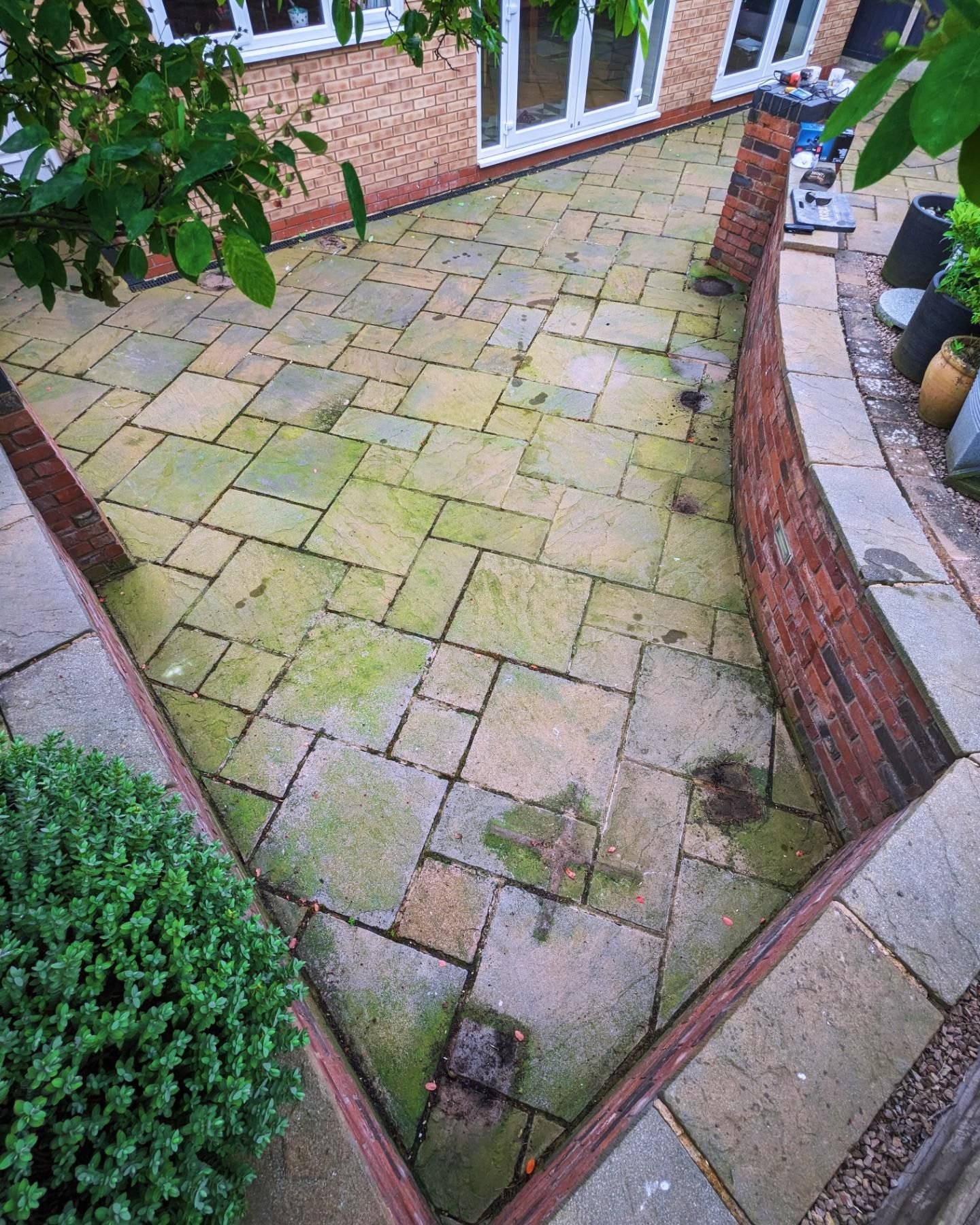 WhatsApp Image 2026-02-17 at 10.40.37 AM