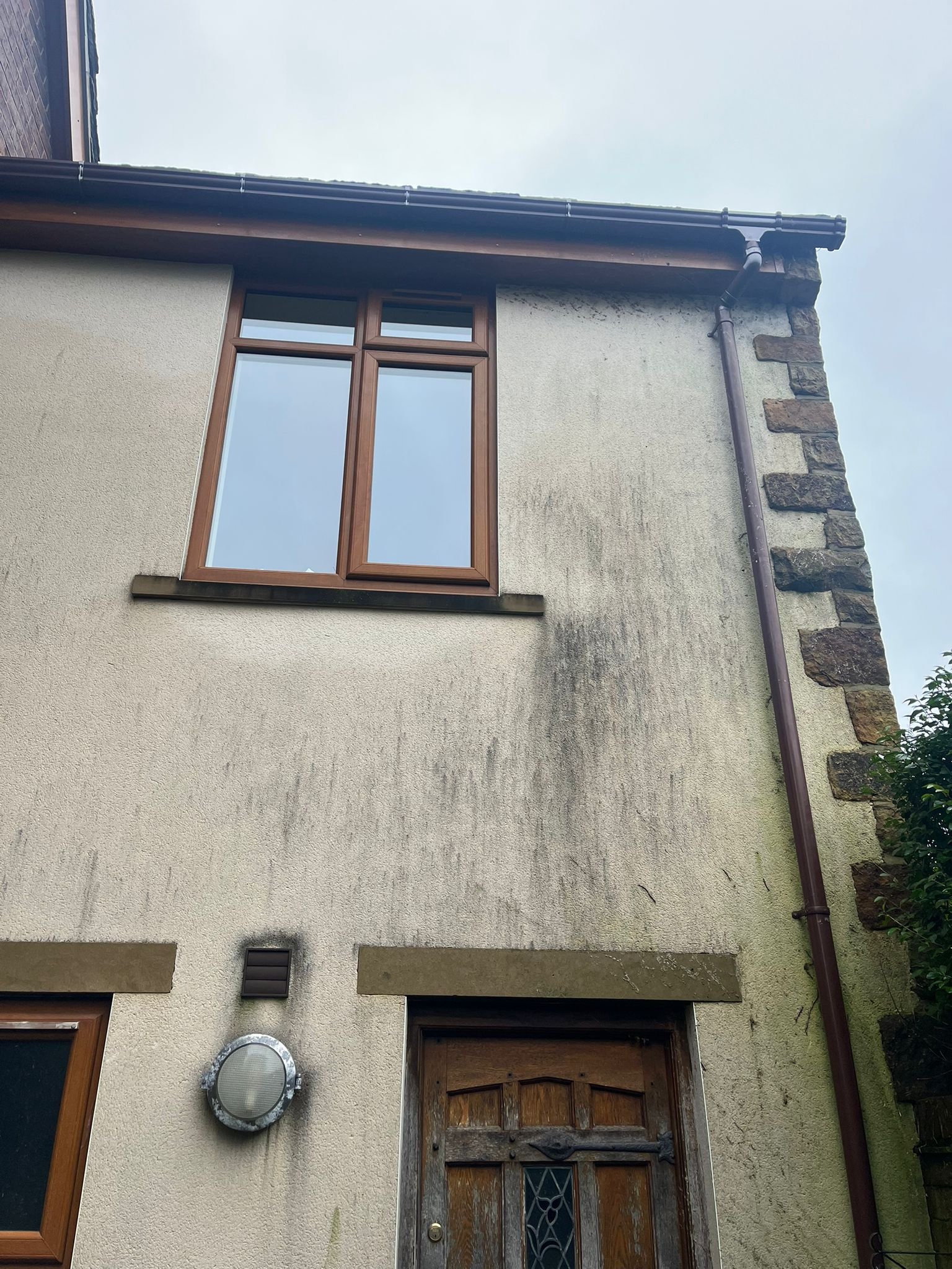 WhatsApp Image 2026-02-17 at 12.34.59 PM