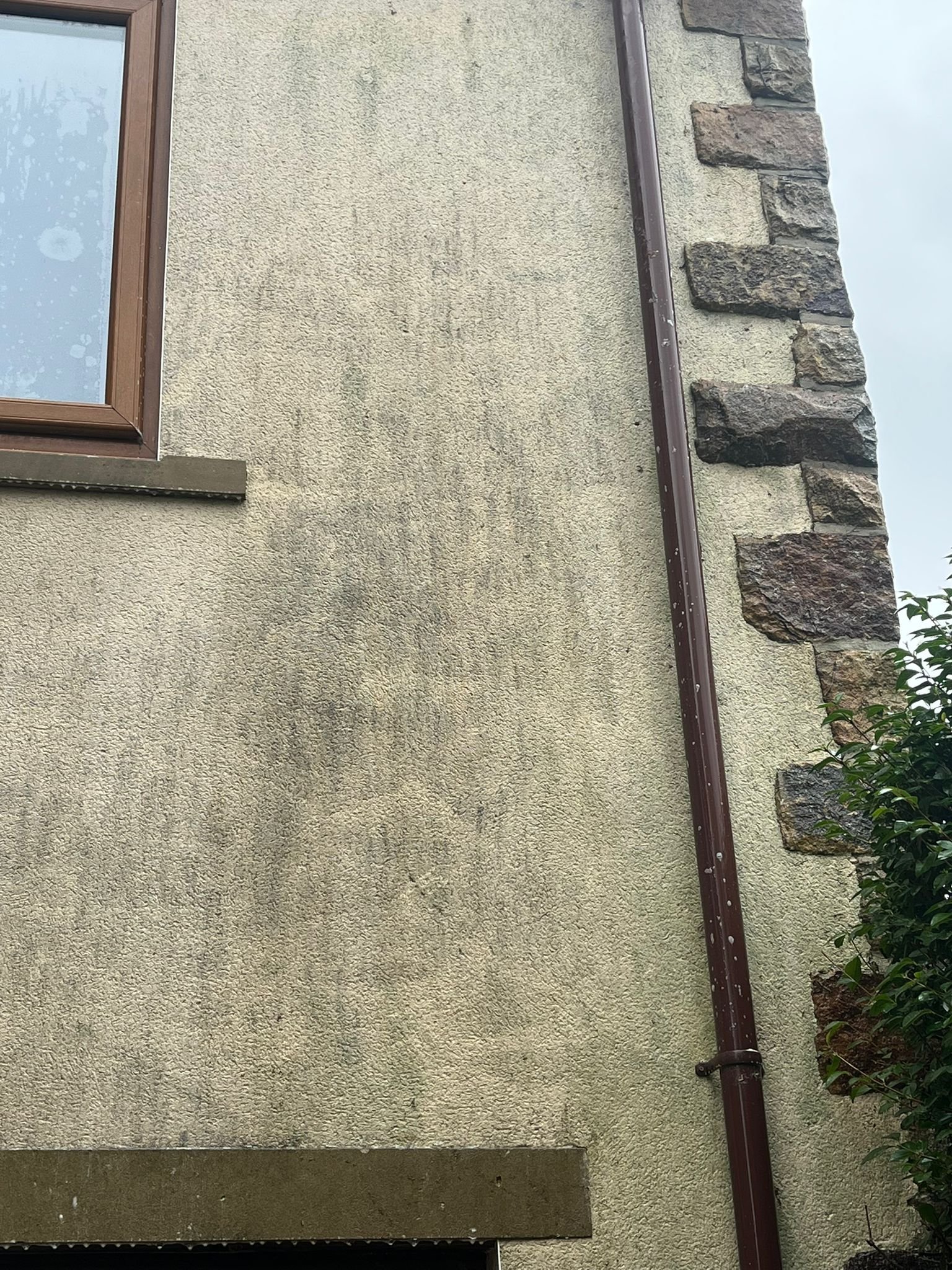 WhatsApp Image 2026-02-17 at 12.35.00 PM (3)