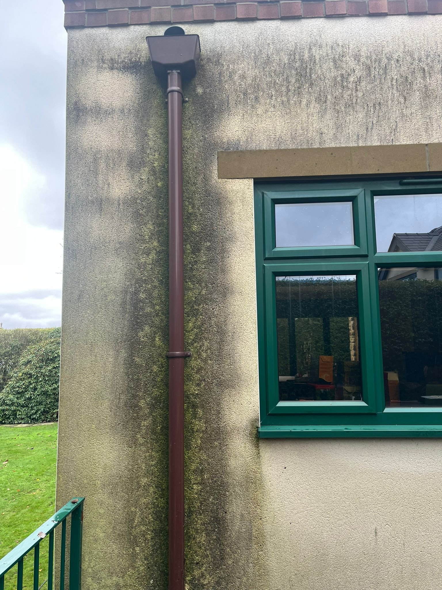 WhatsApp Image 2026-02-17 at 12.35.01 PM (1)