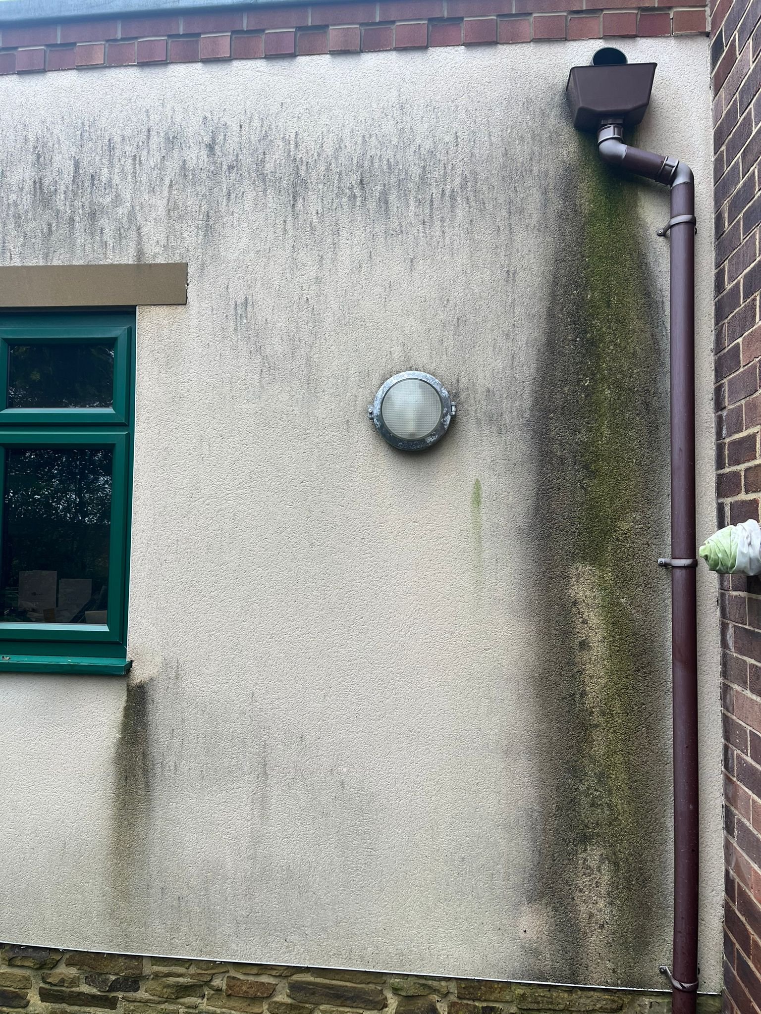 WhatsApp Image 2026-02-17 at 12.35.01 PM (3)