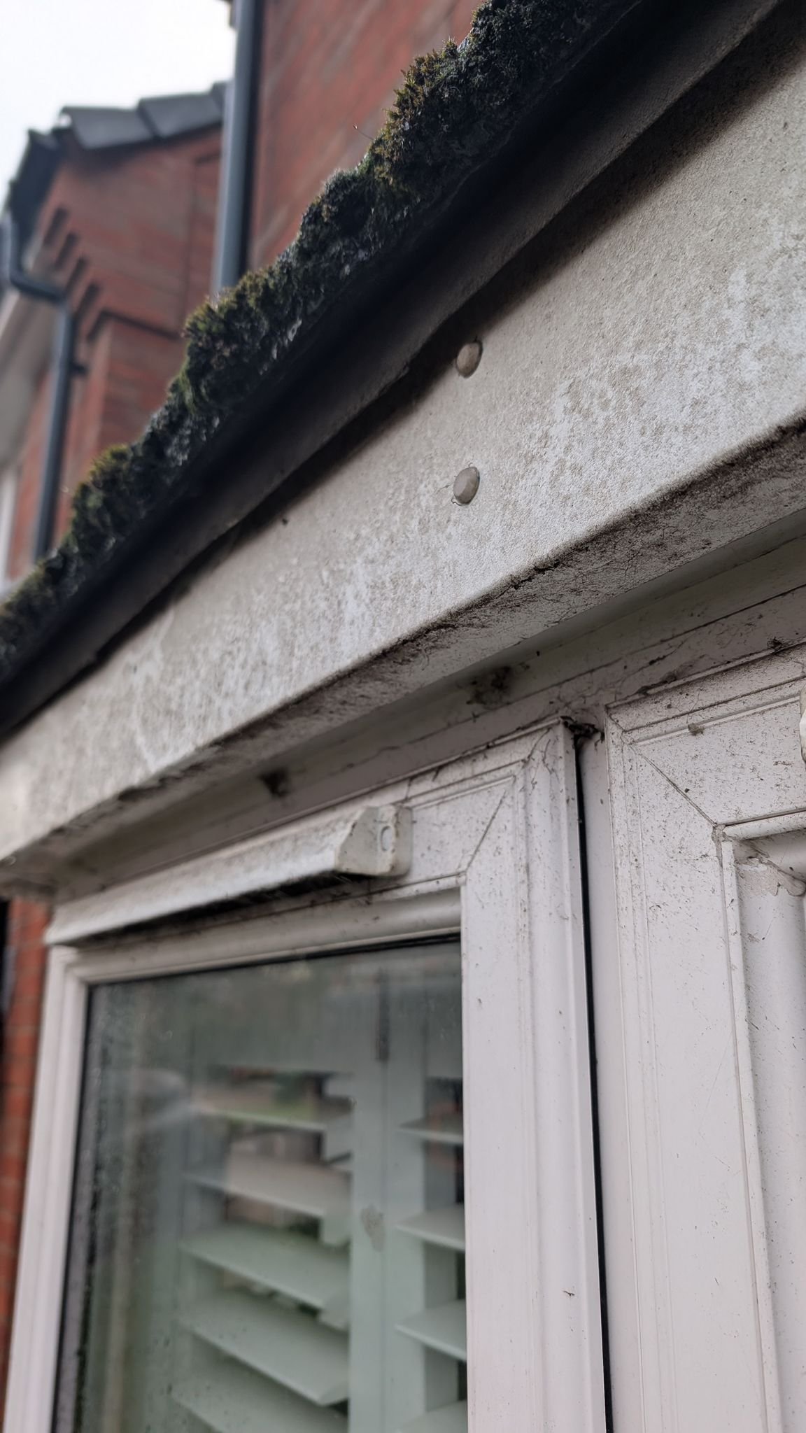 WhatsApp Image 2026-02-17 at 2.37.07 PM (2)