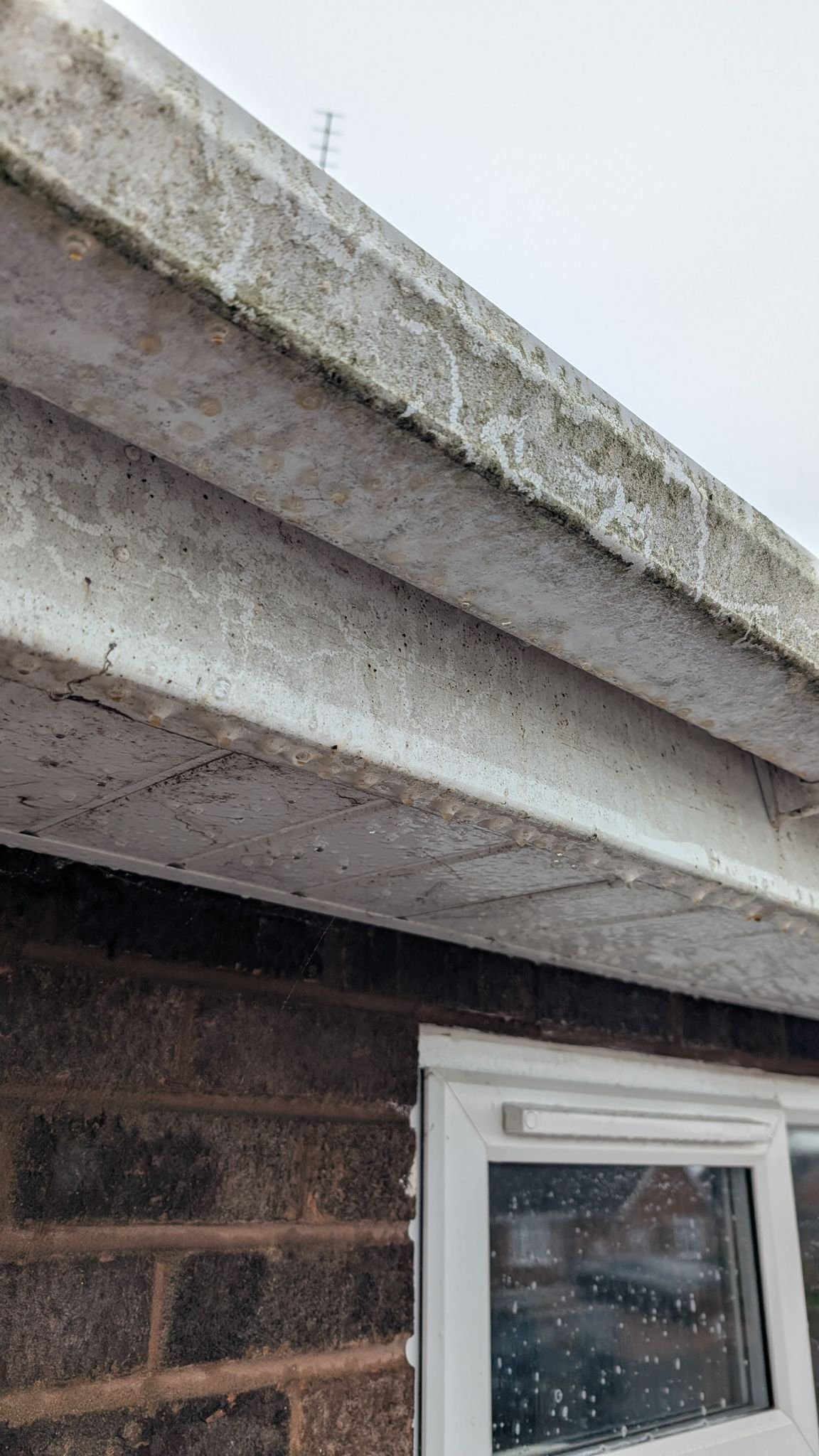 WhatsApp Image 2026-02-17 at 2.37.07 PM