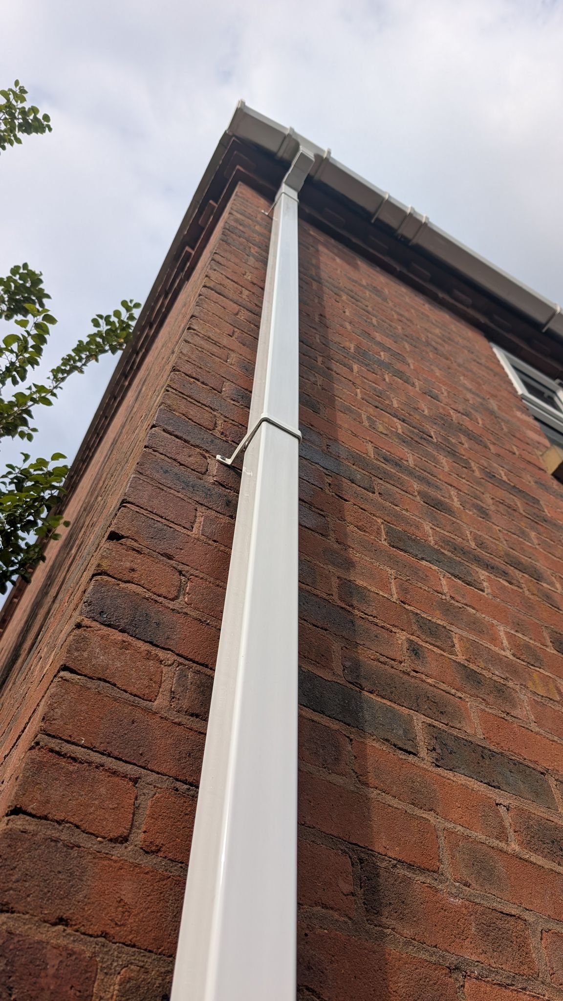 WhatsApp Image 2026-02-17 at 2.37.08 PM (1)