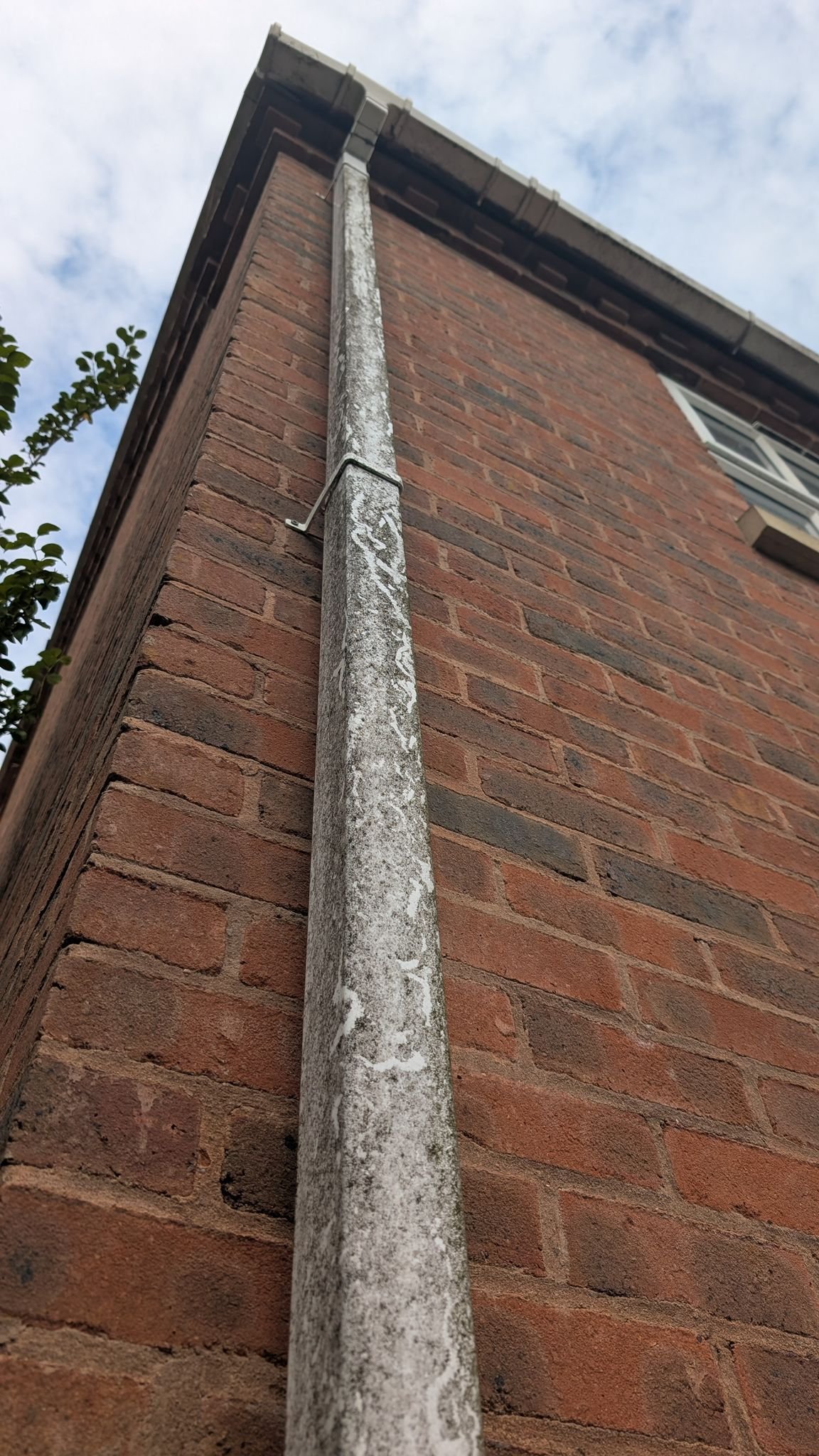 WhatsApp Image 2026-02-17 at 2.37.08 PM