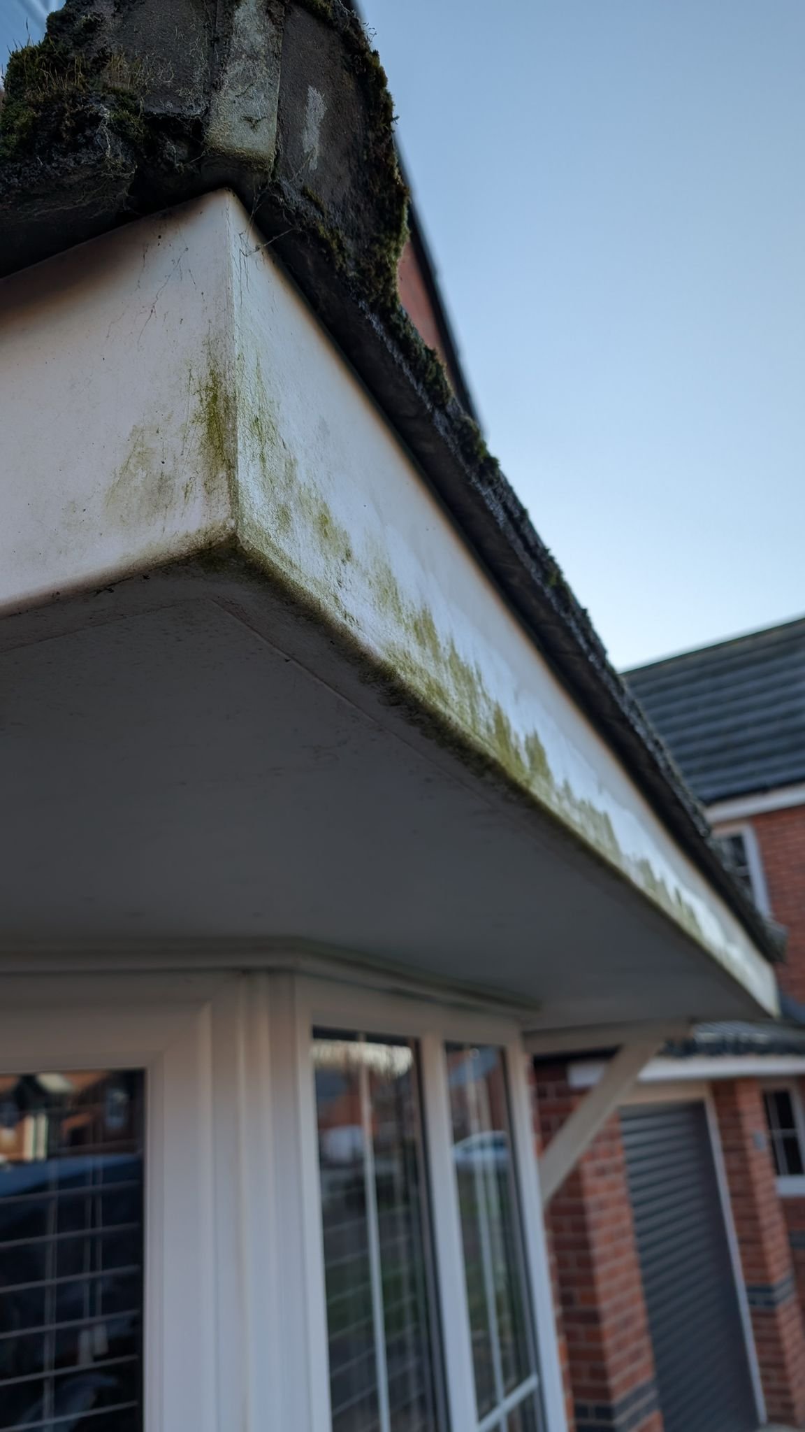 WhatsApp Image 2026-02-17 at 2.37.09 PM (4)