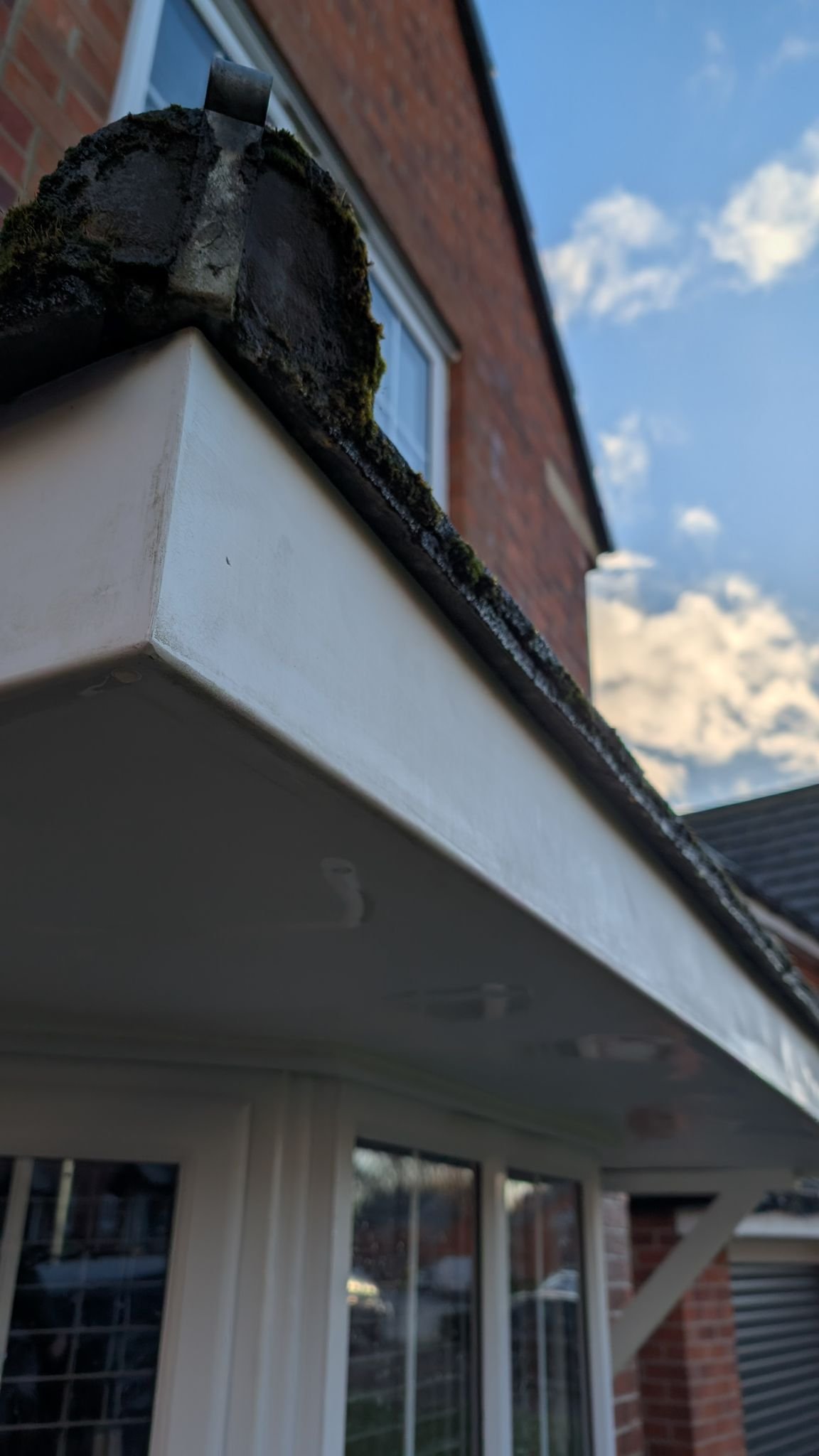 WhatsApp Image 2026-02-17 at 2.37.09 PM (5)