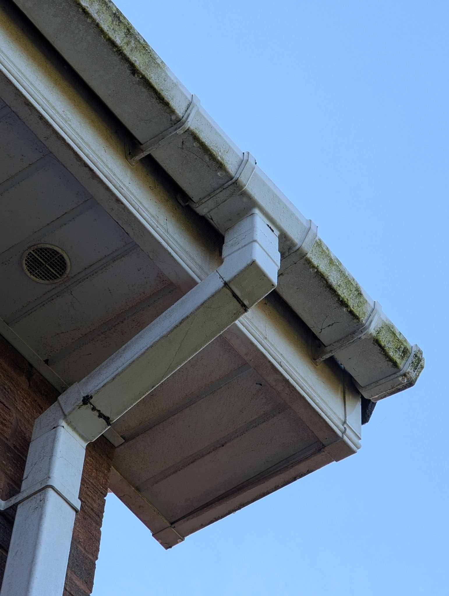 WhatsApp Image 2026-02-17 at 2.37.09 PM (6)