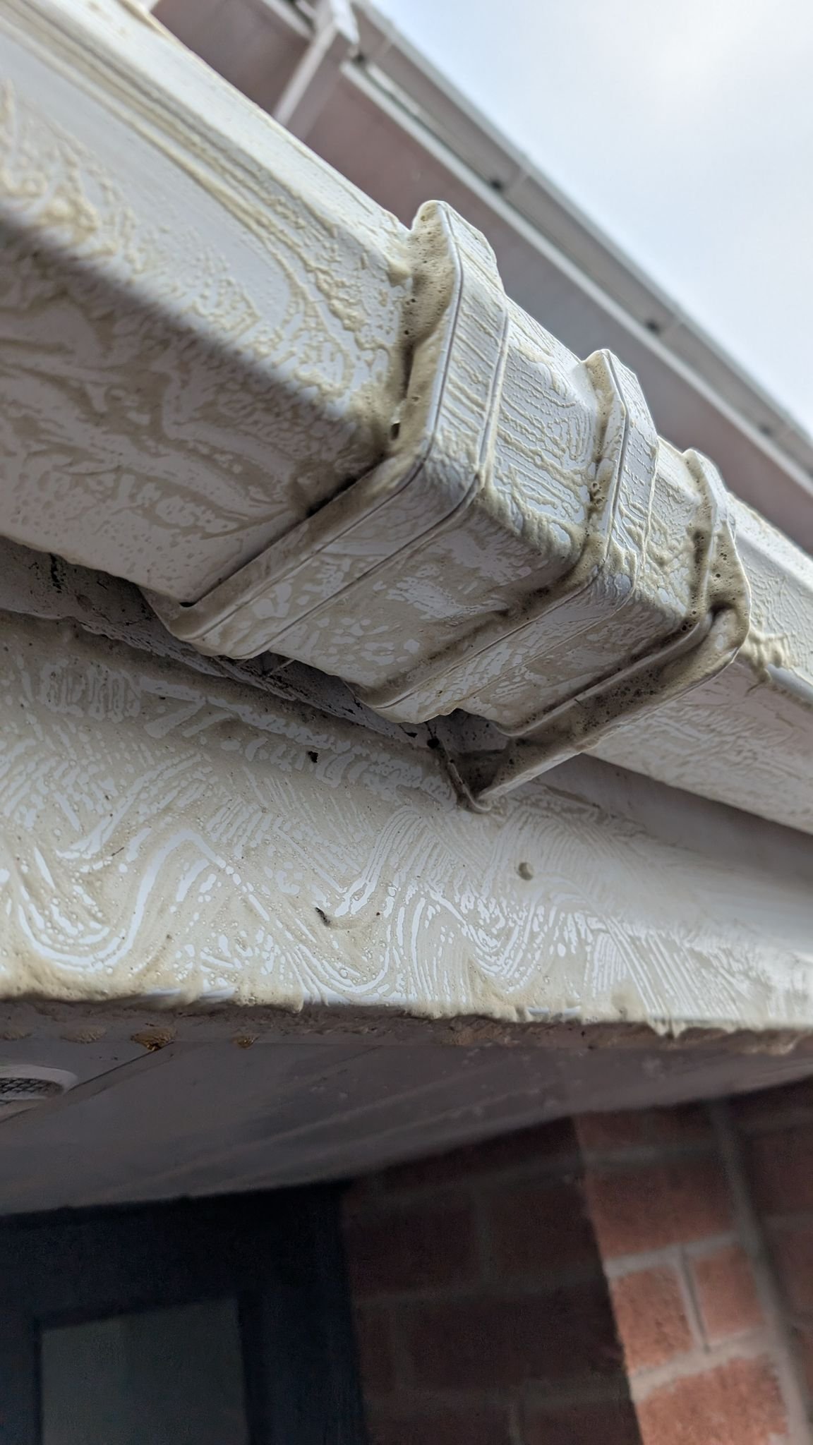 WhatsApp Image 2026-02-17 at 2.37.09 PM (9)