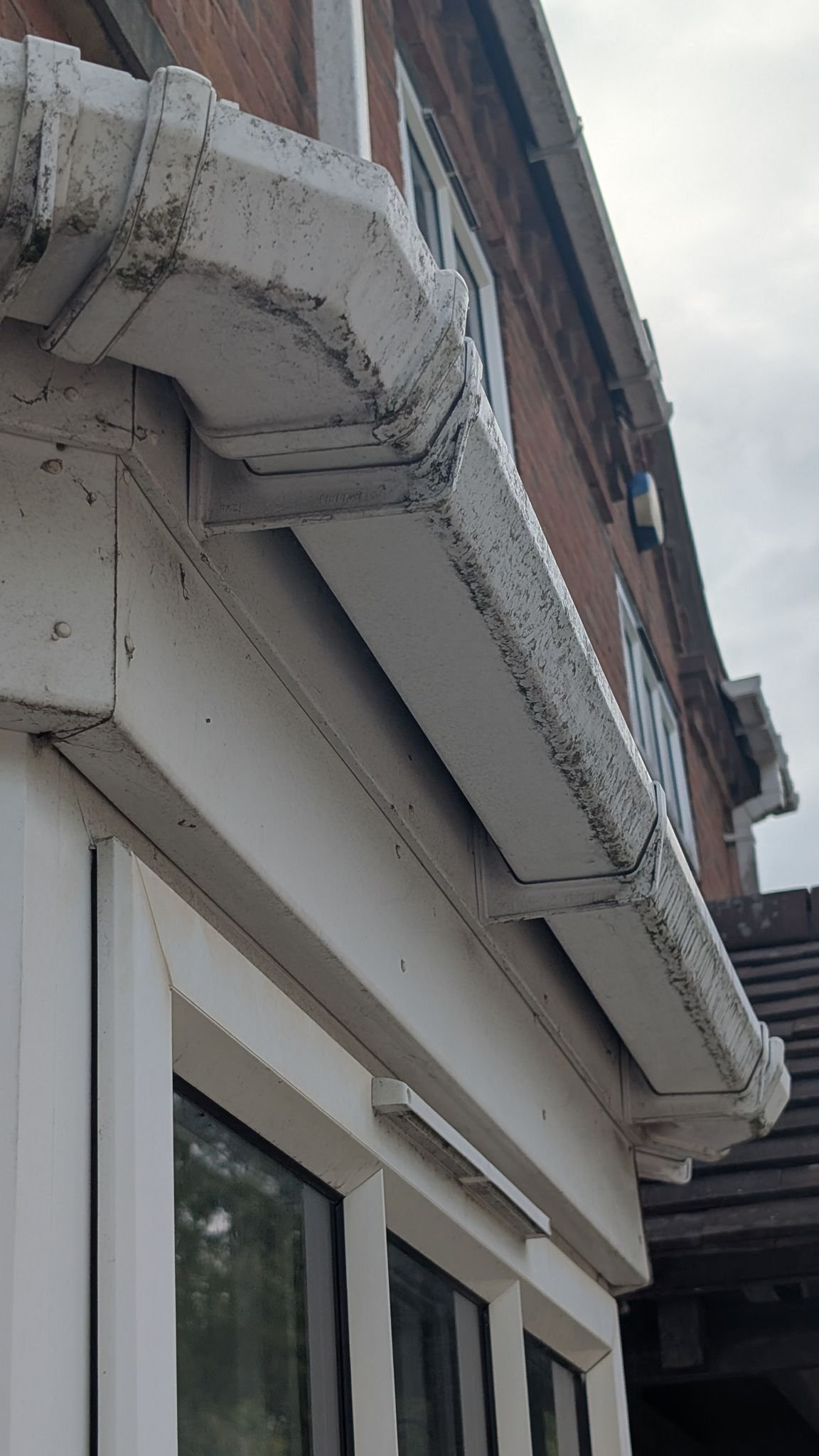 WhatsApp Image 2026-02-17 at 2.37.09 PM