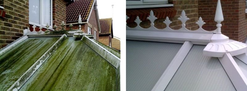 WhatsApp Image 2026-02-17 at 2.57.40 PM (4)