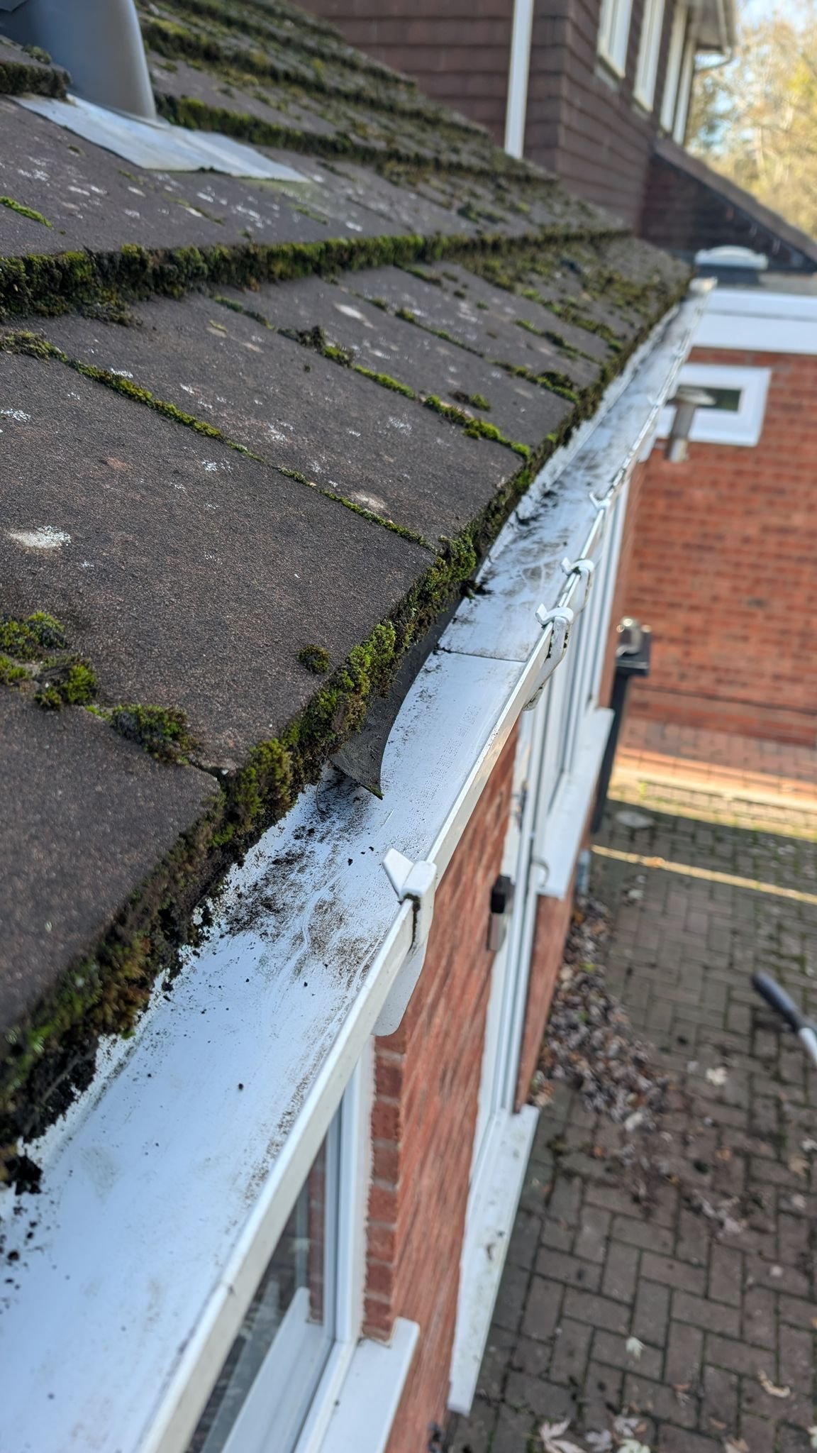 WhatsApp Image 2026-02-17 at 5.32.15 PM (1)