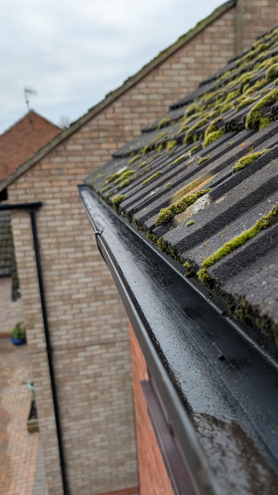 WhatsApp Image 2026-02-17 at 5.32.15 PM (3)