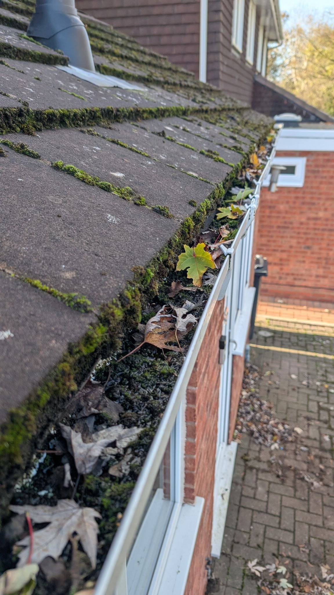 WhatsApp Image 2026-02-17 at 5.32.15 PM